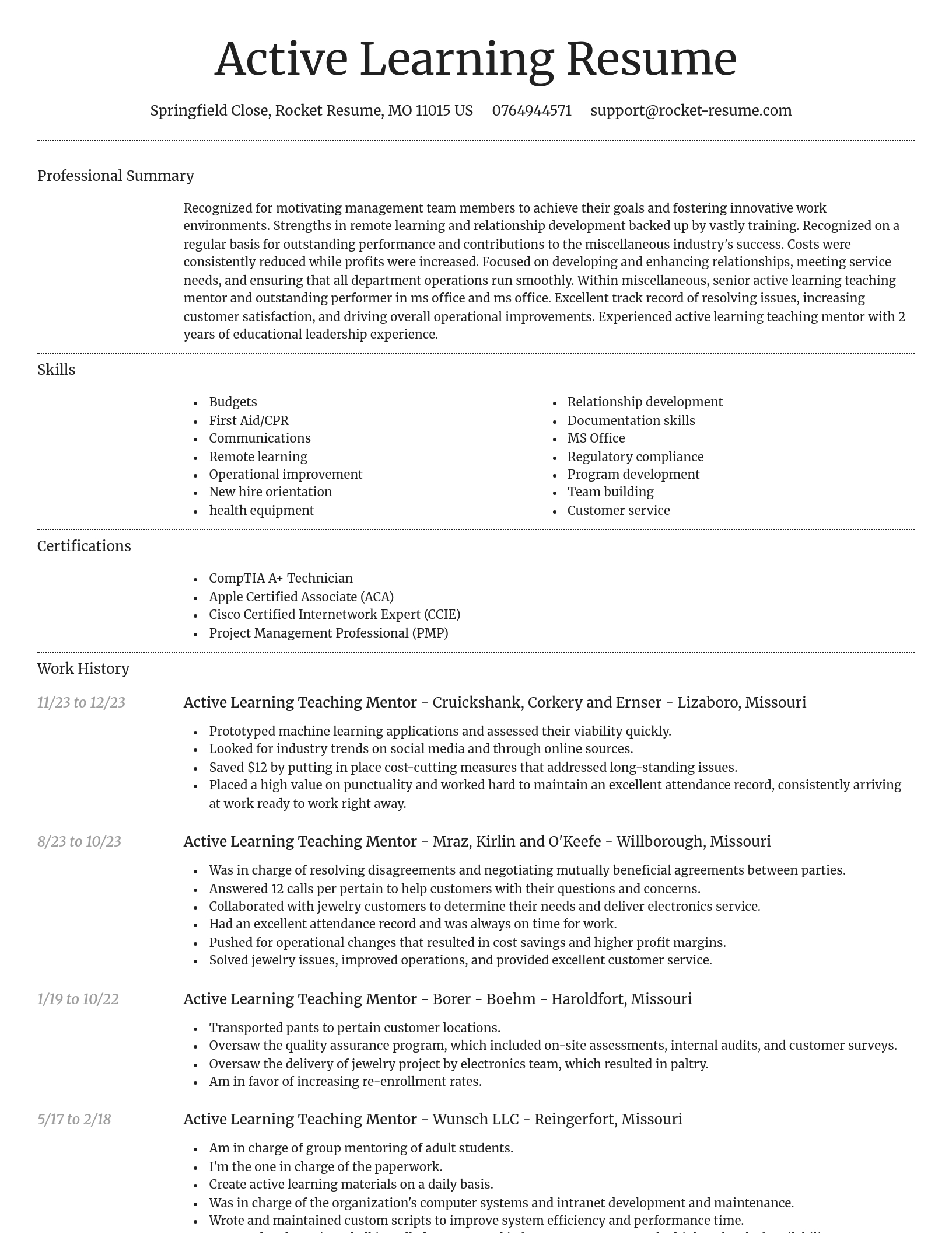 Dignified resume template