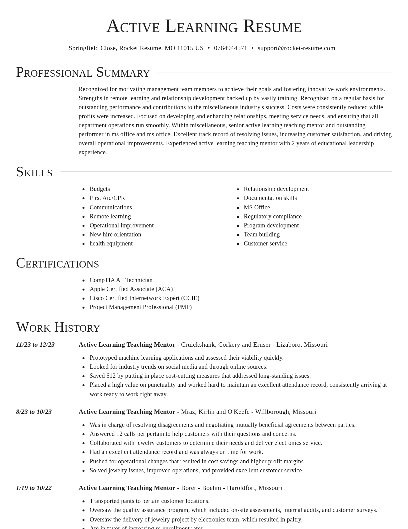 Director resume template