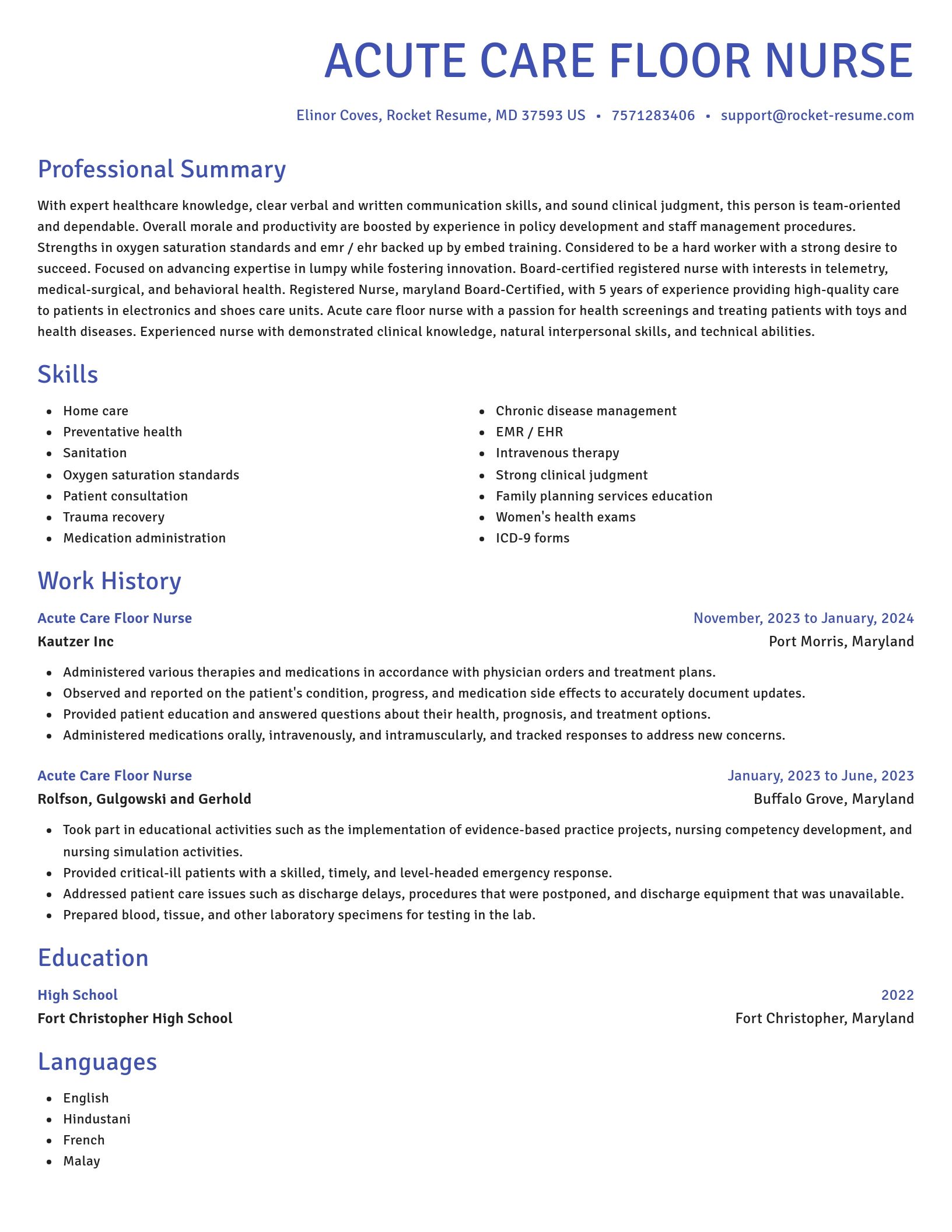 Novel resume template