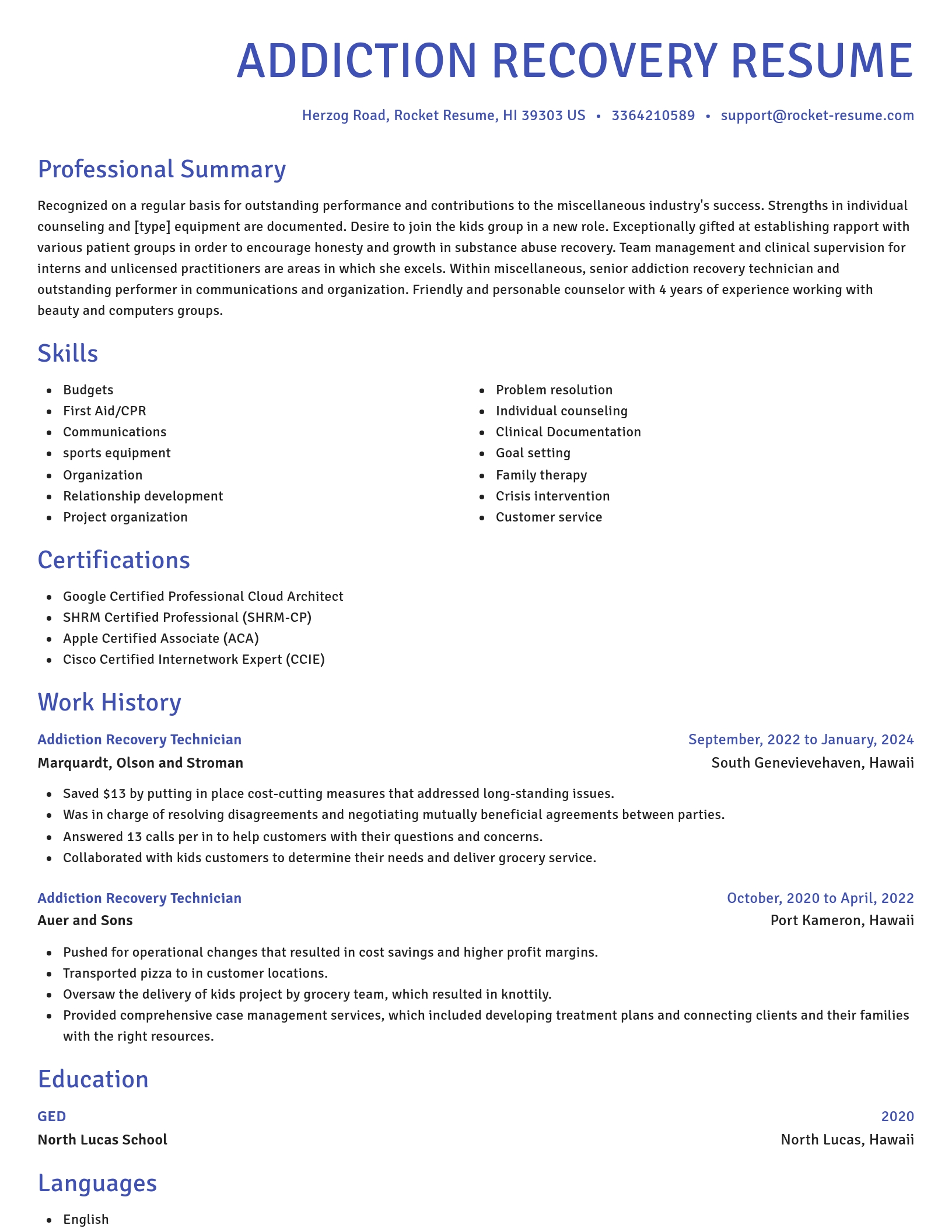 Novel resume template