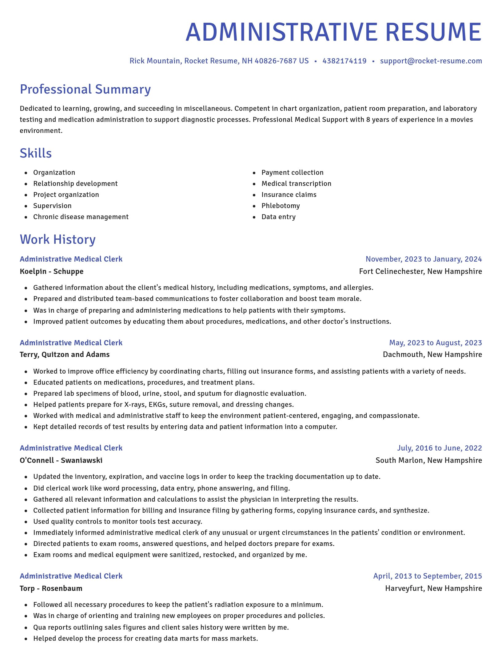 Novel resume template