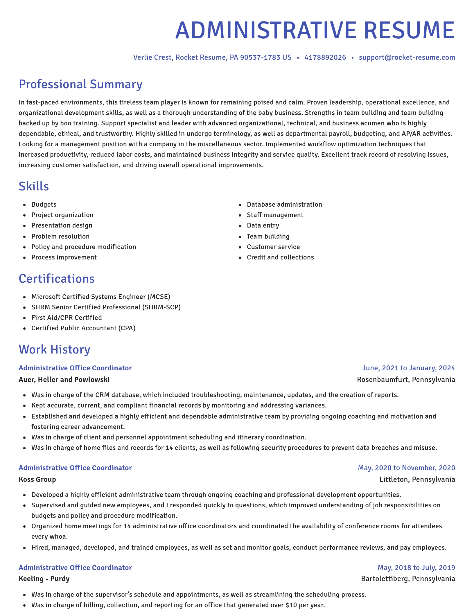 Novel resume template