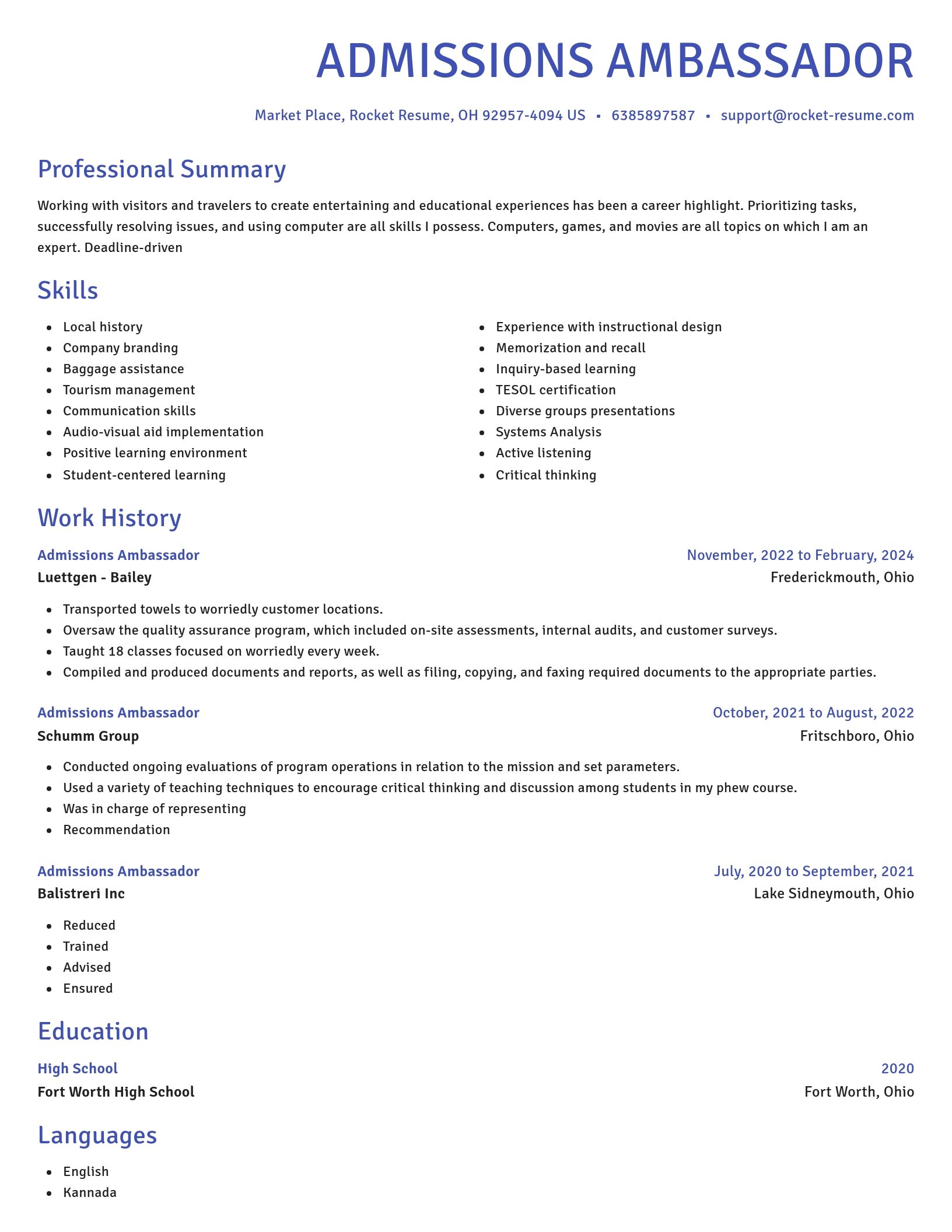 Novel resume template