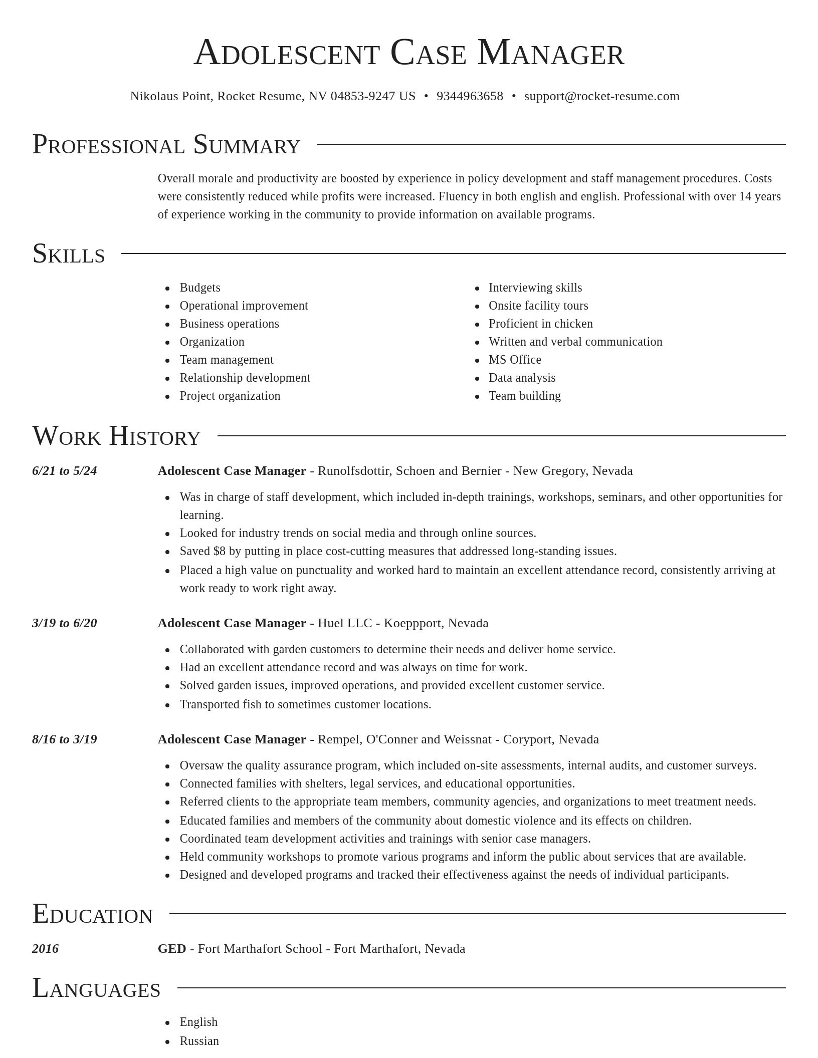 Director resume template