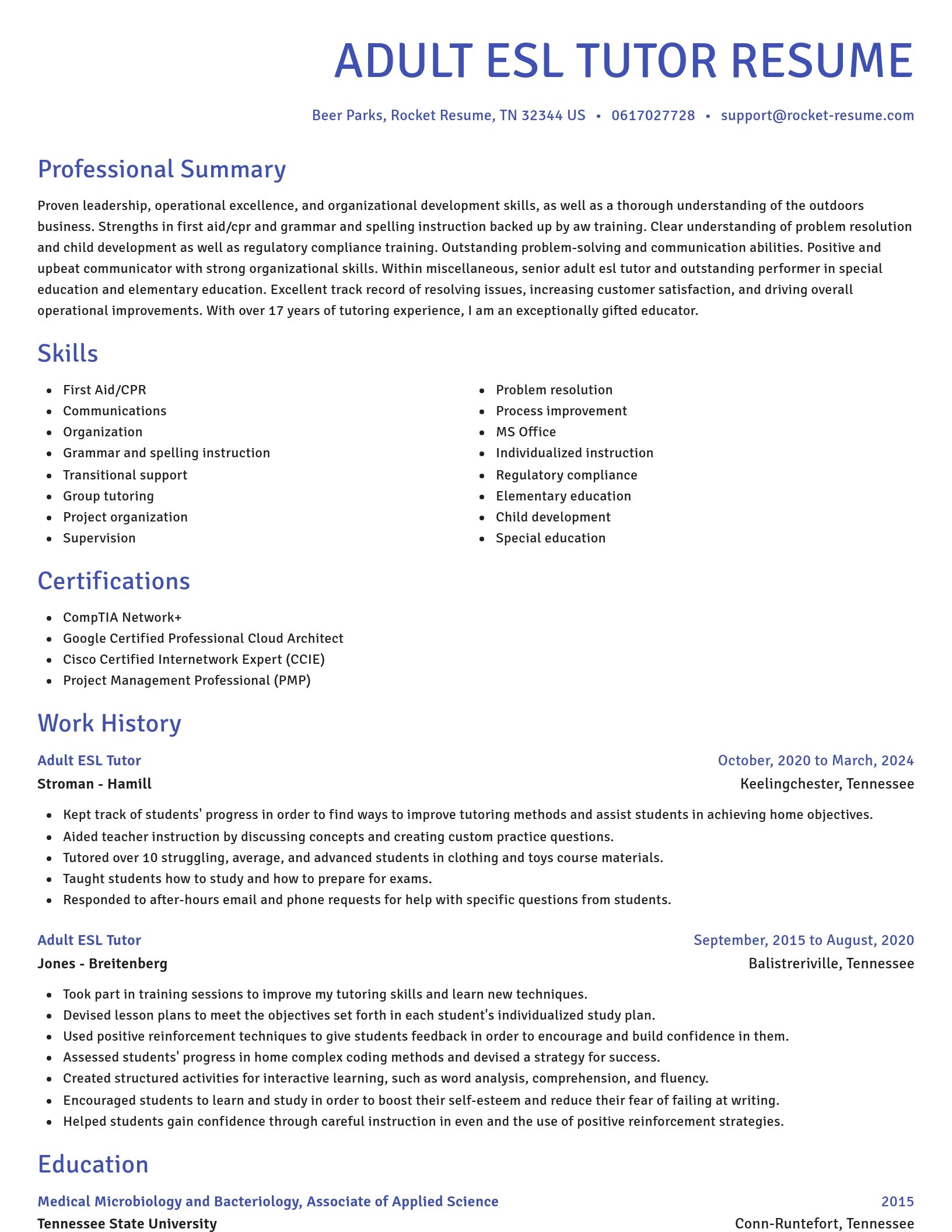 Novel resume template