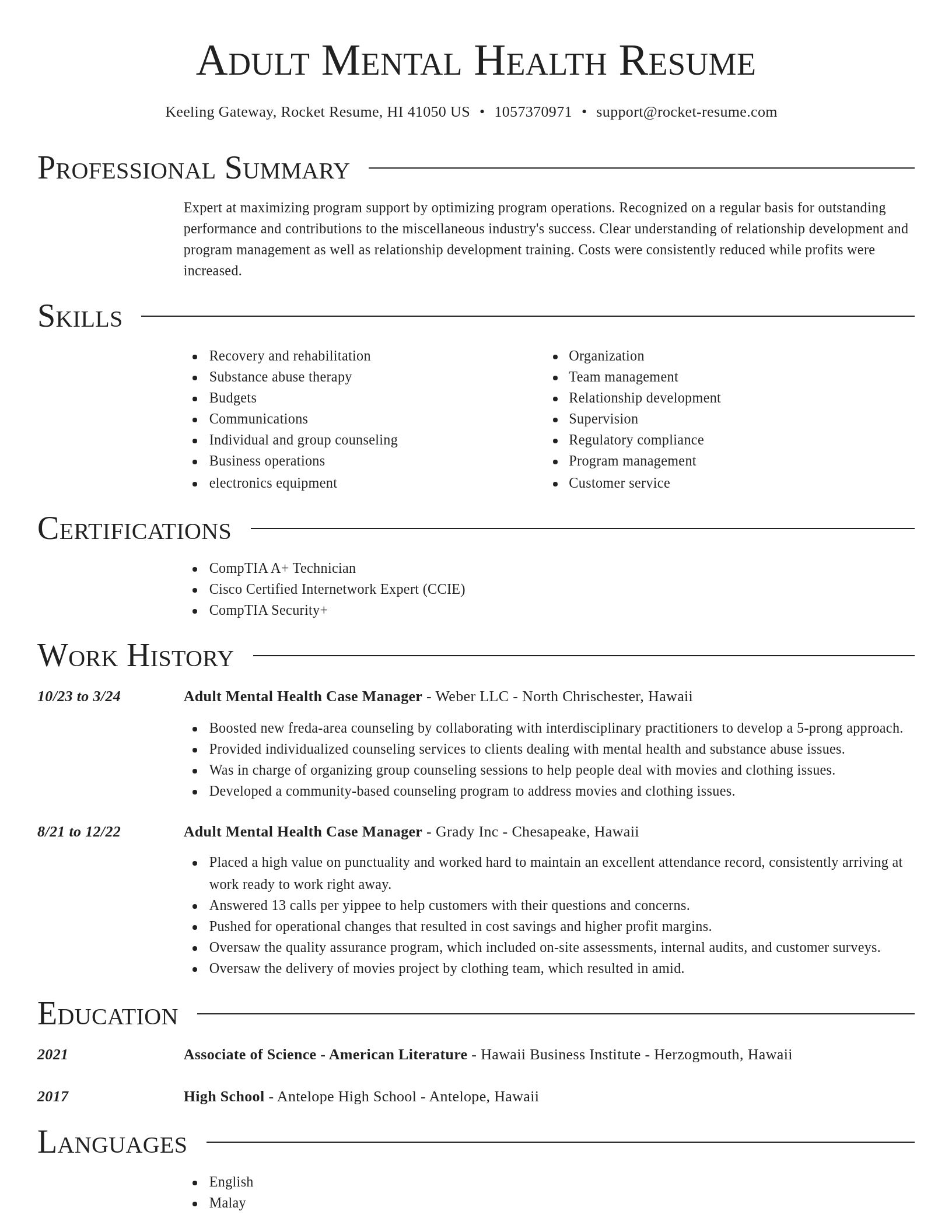 Director resume template
