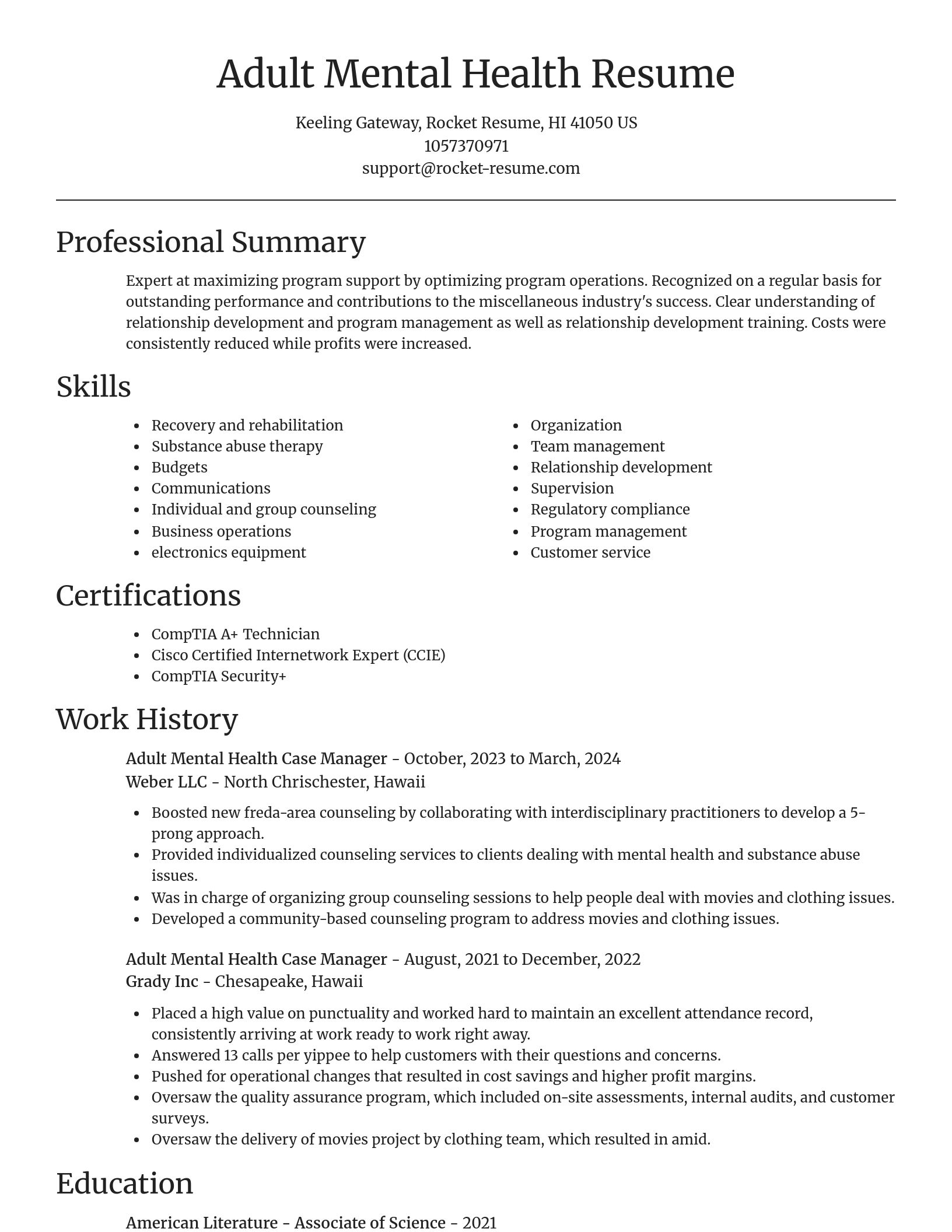 Focal Point resume template