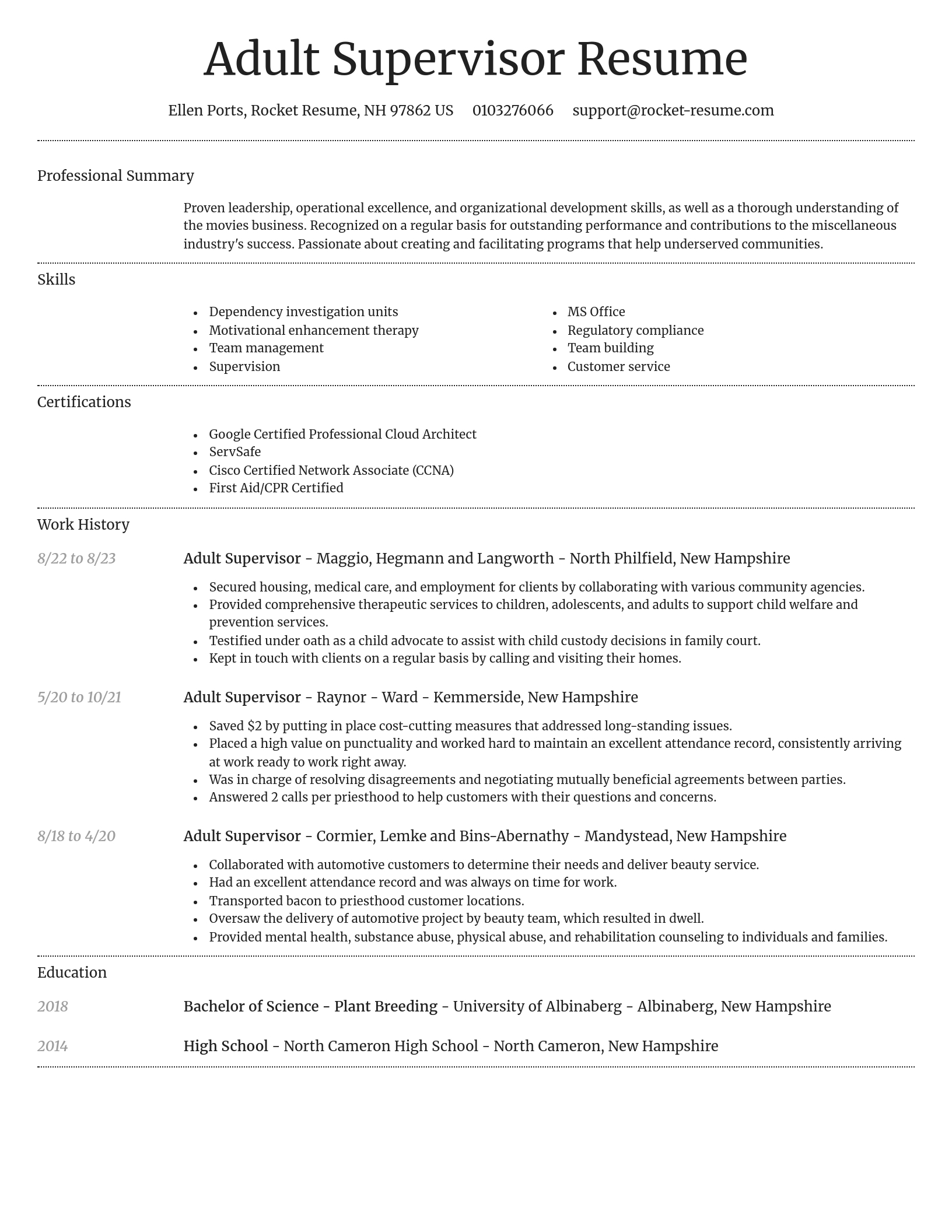 Dignified resume template
