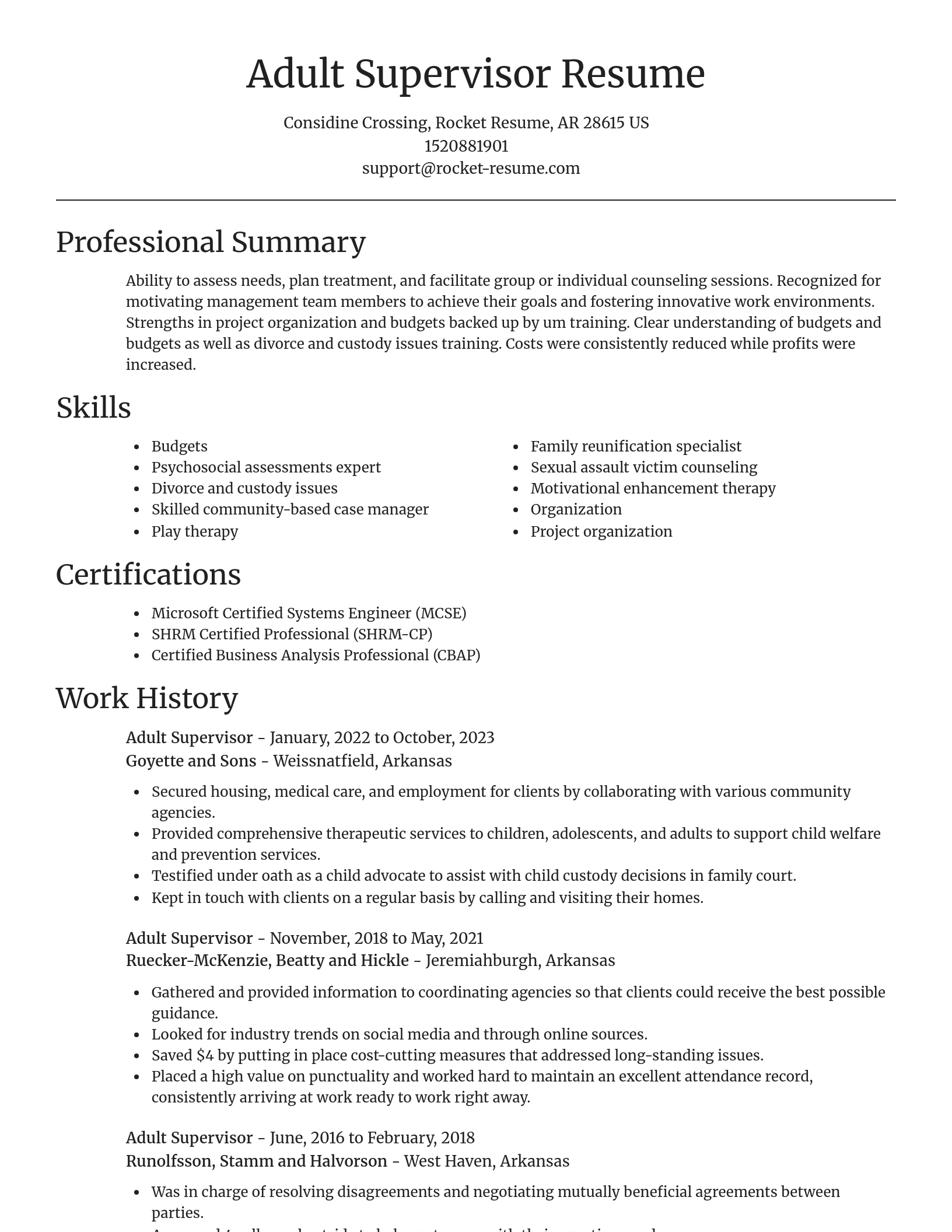 Focal Point resume template