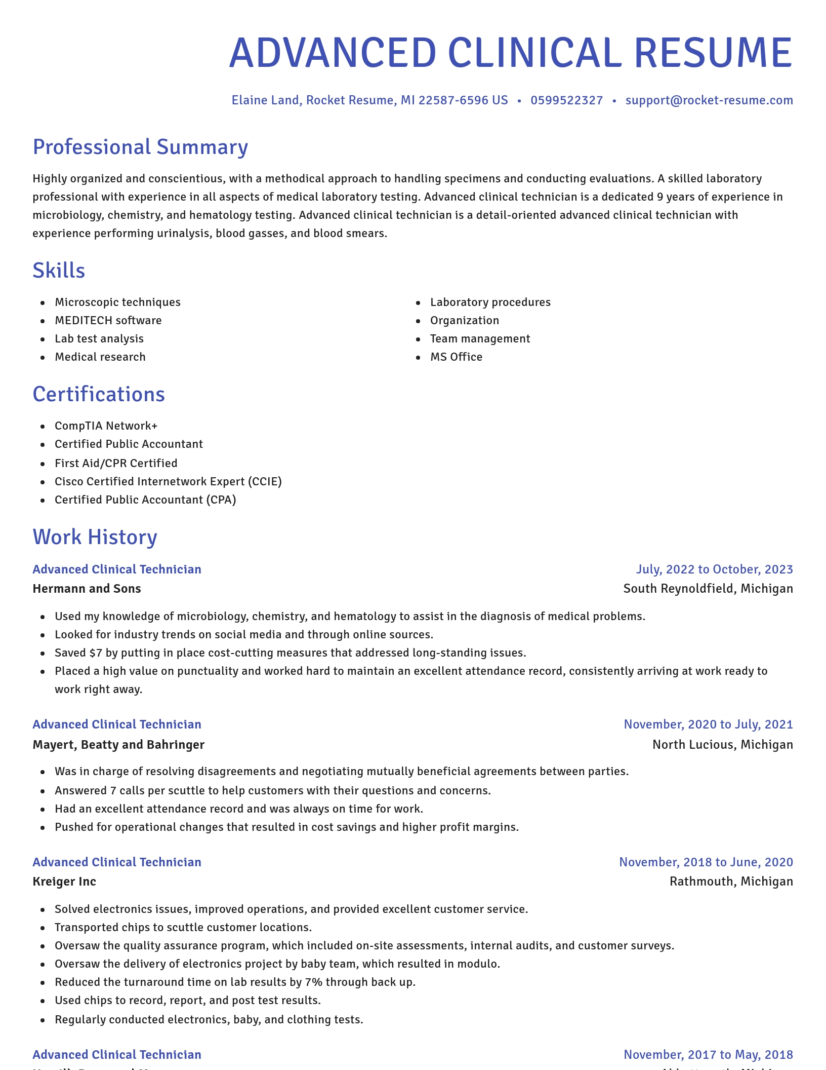 Novel resume template