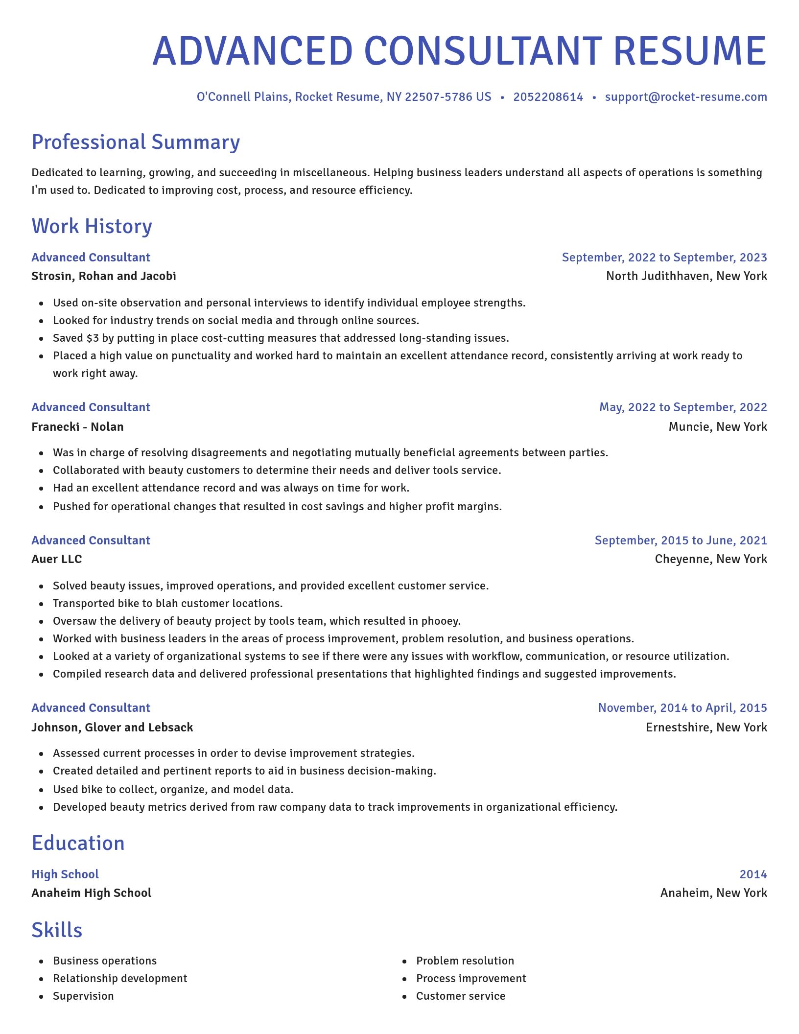 Novel resume template