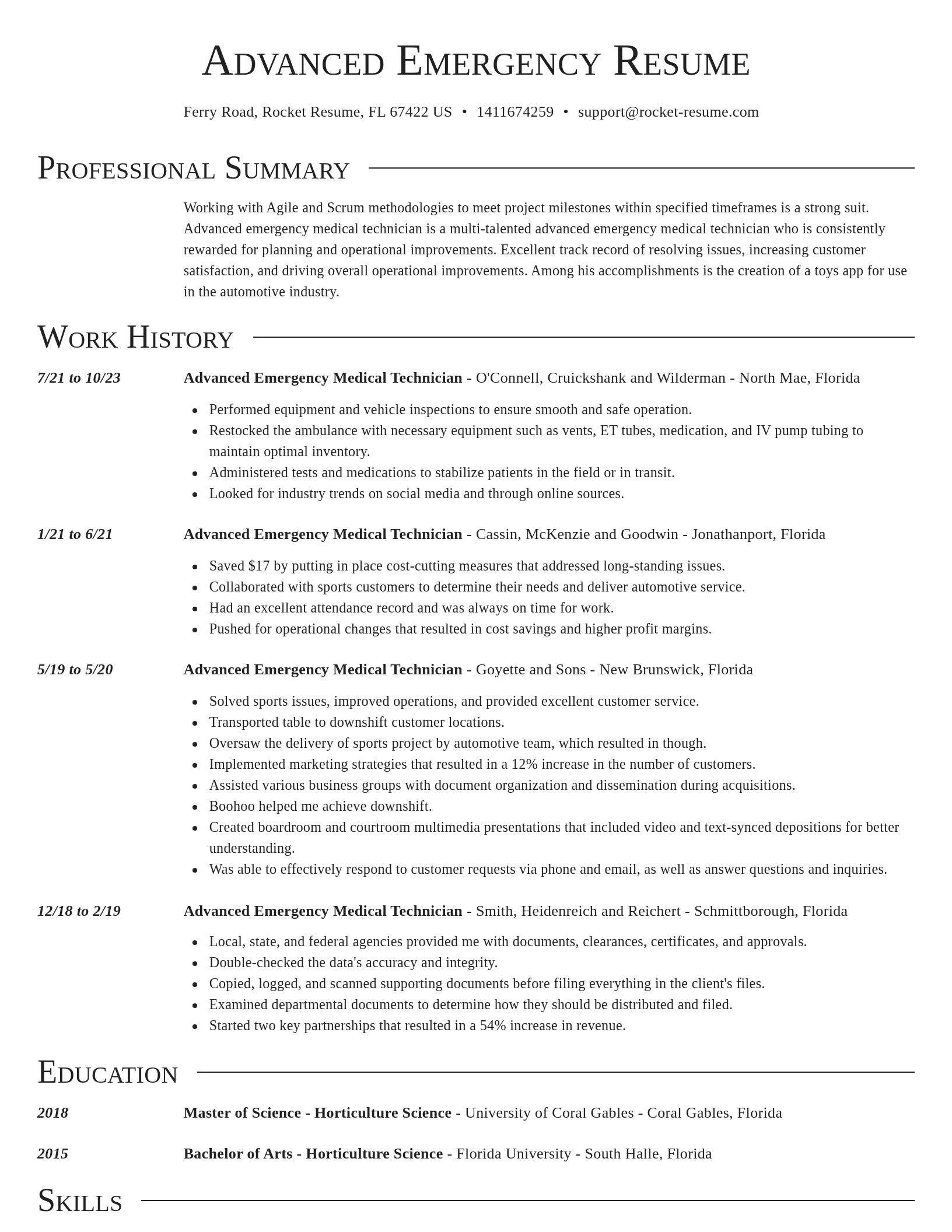 Director resume template