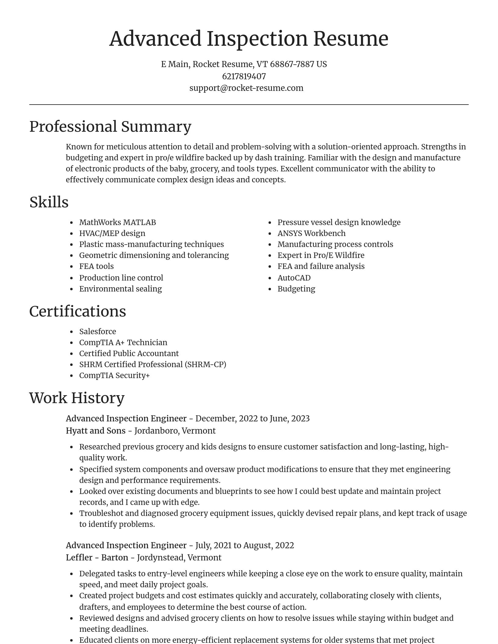 Focal Point resume template