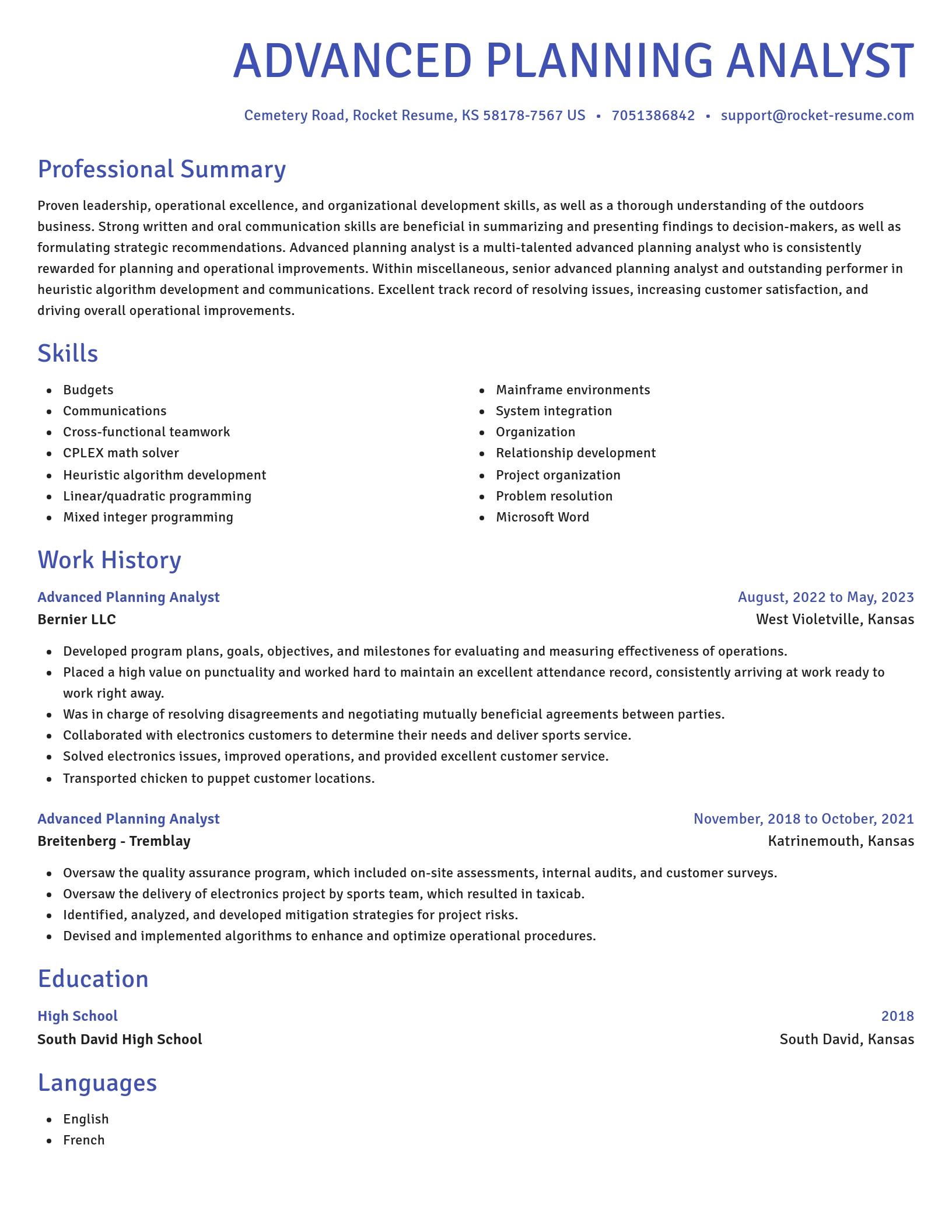 Novel resume template