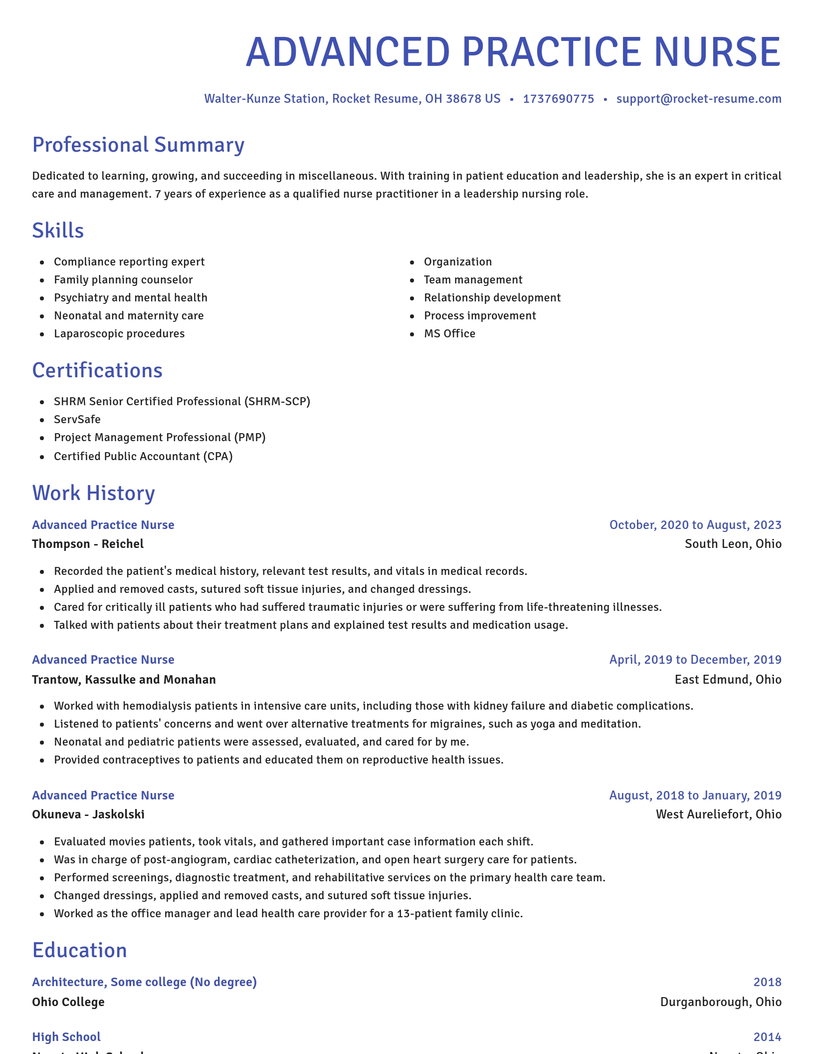 Novel resume template