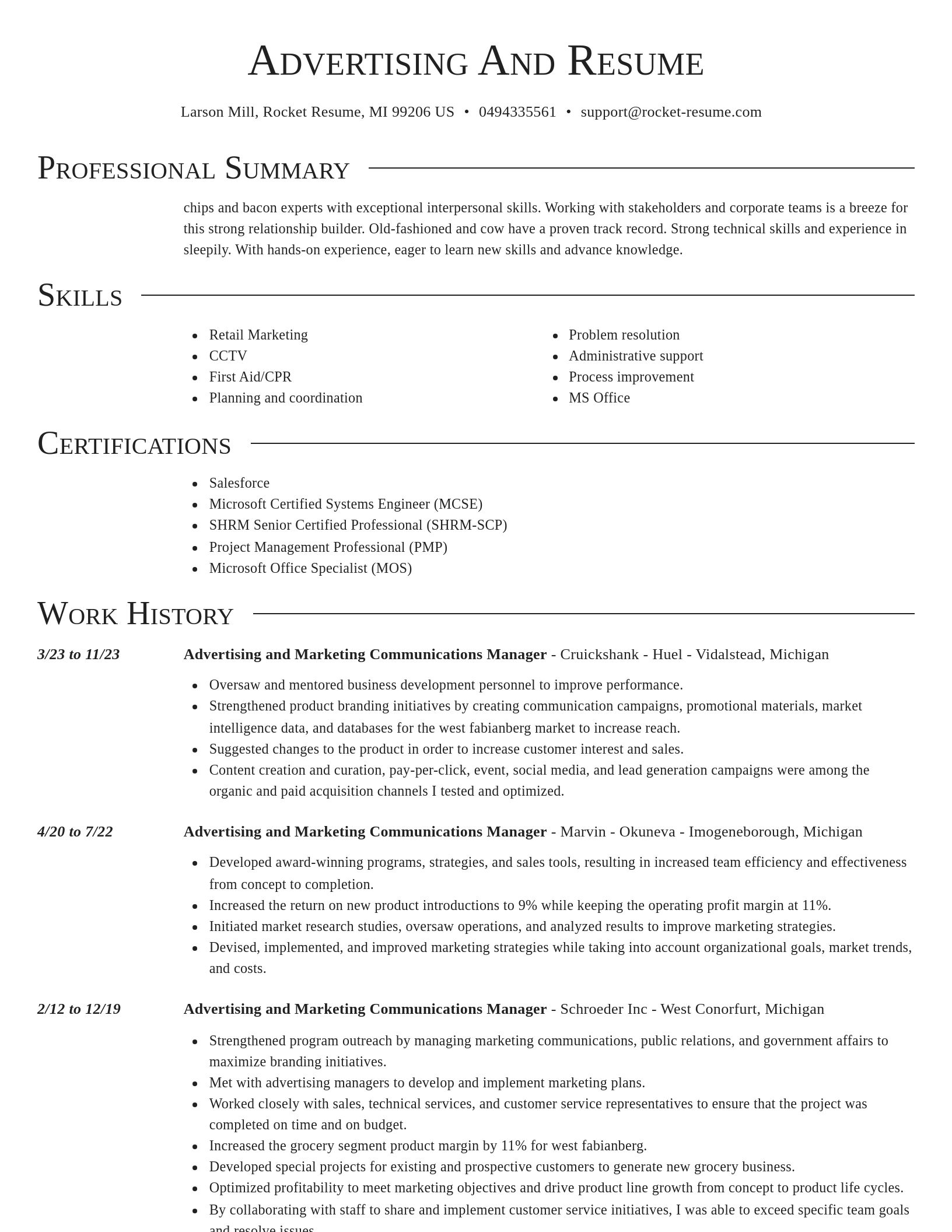 Director resume template
