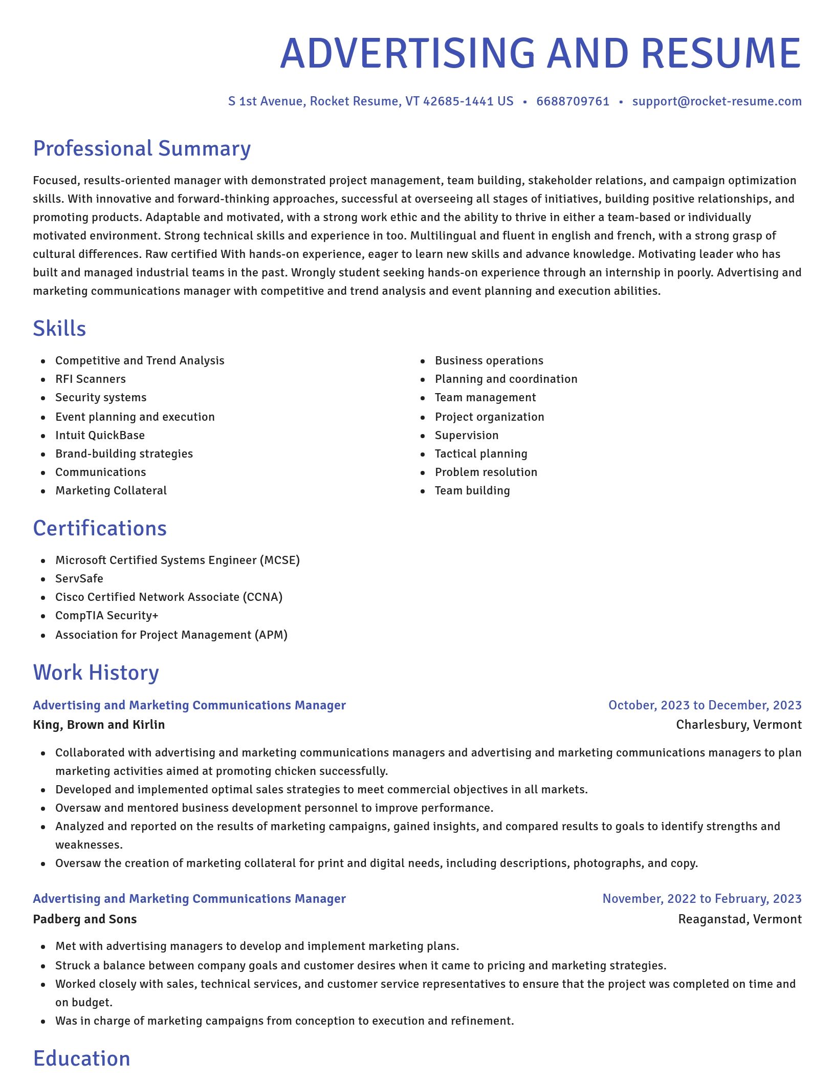 Novel resume template