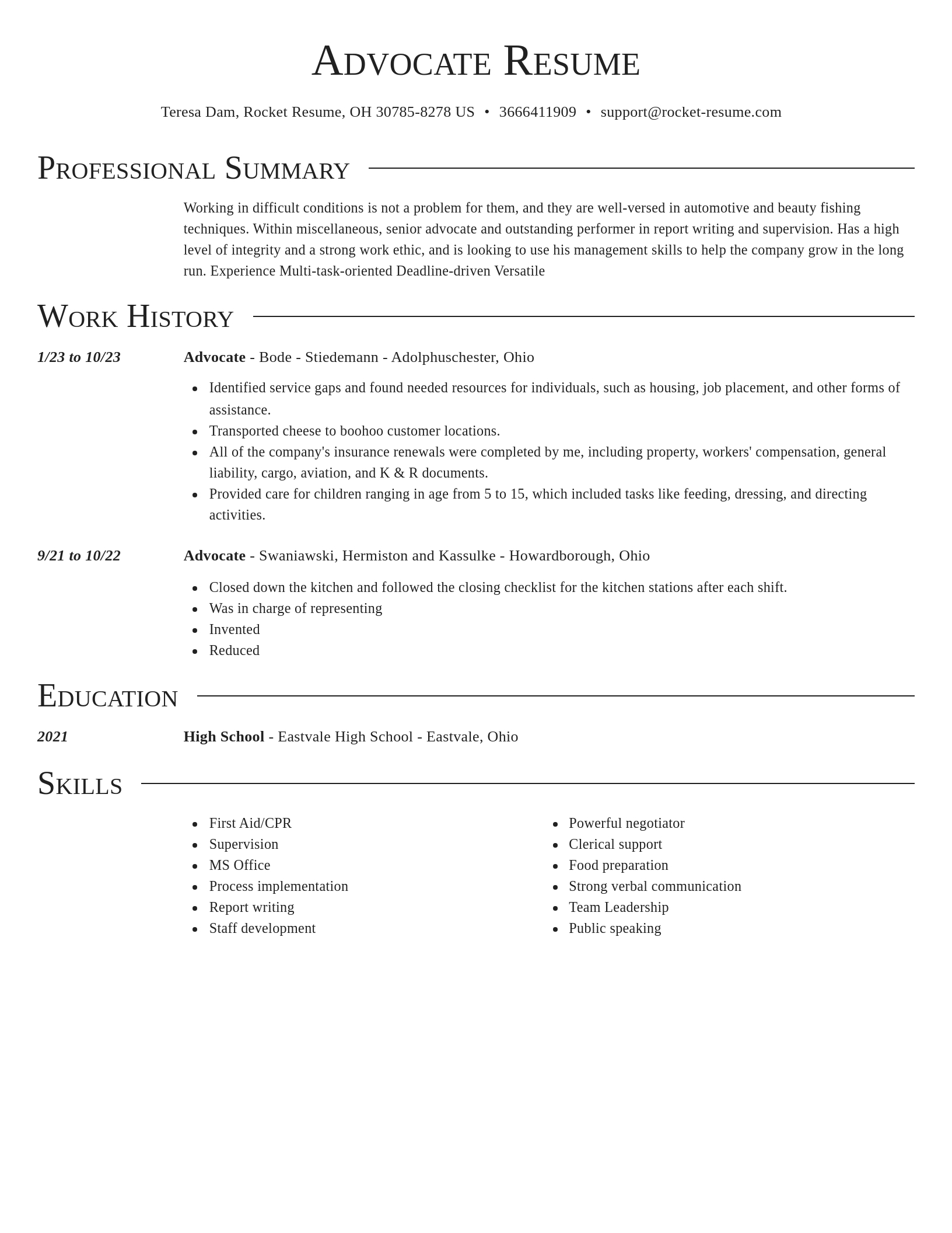 Director resume template