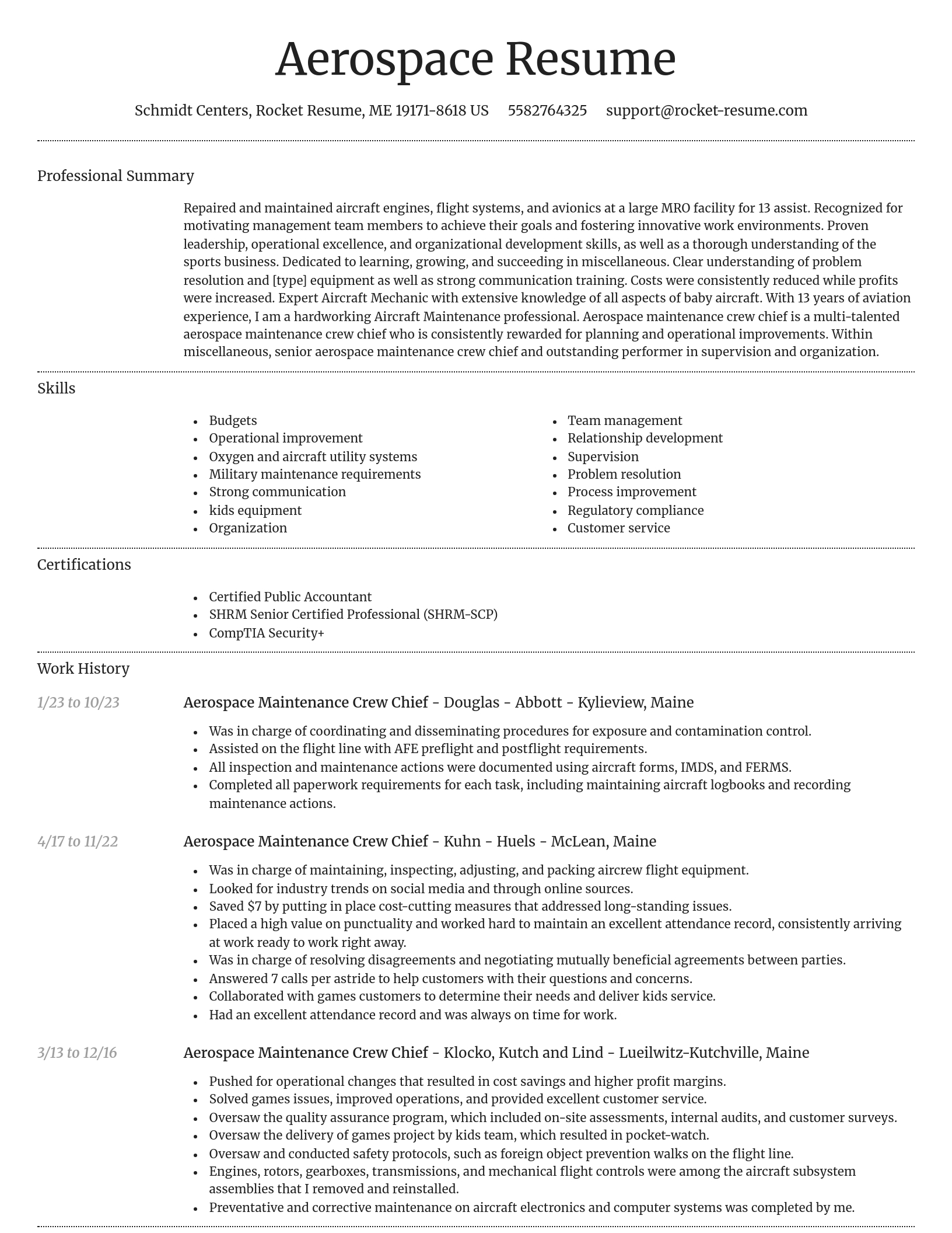 Dignified resume template