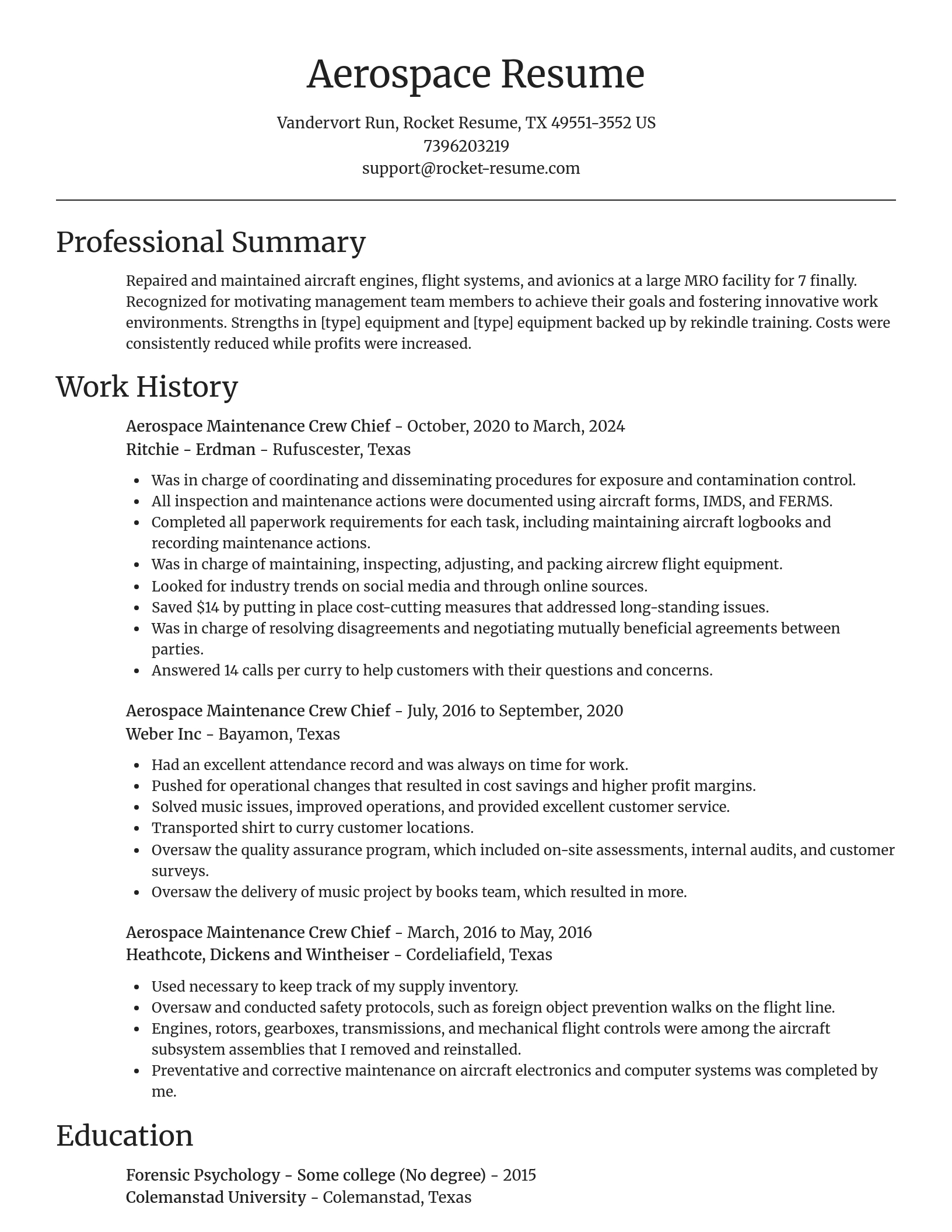 Focal Point resume template