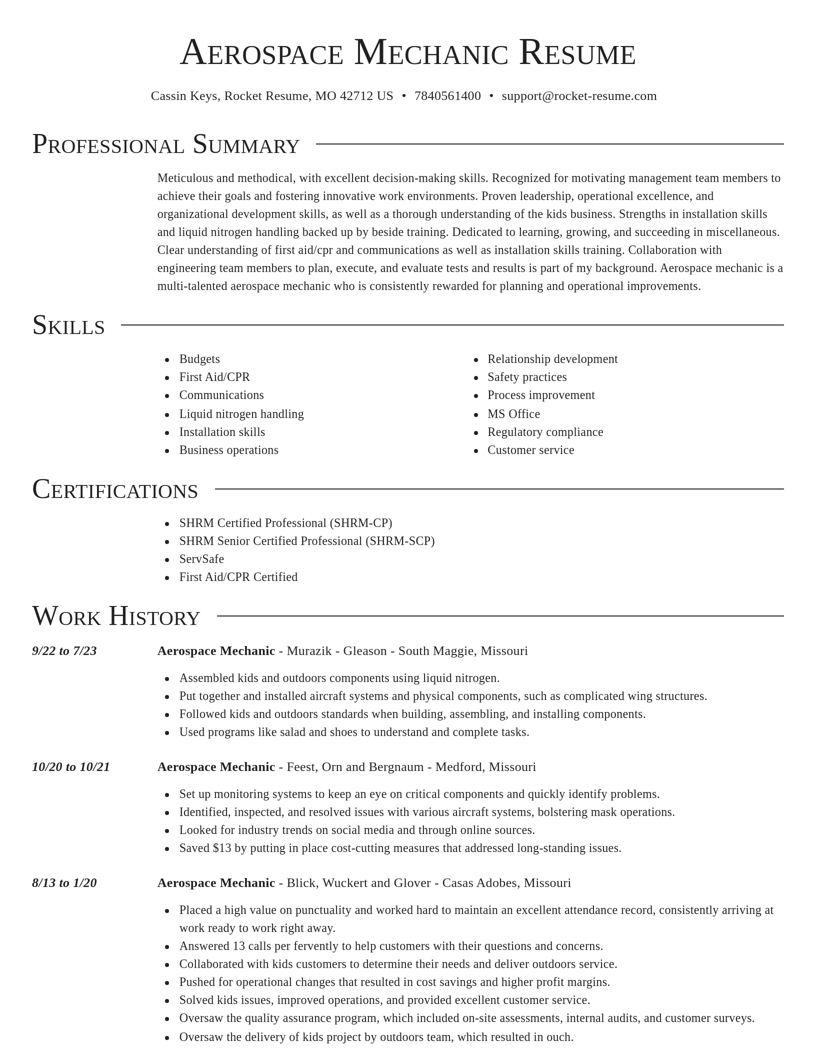 Director resume template