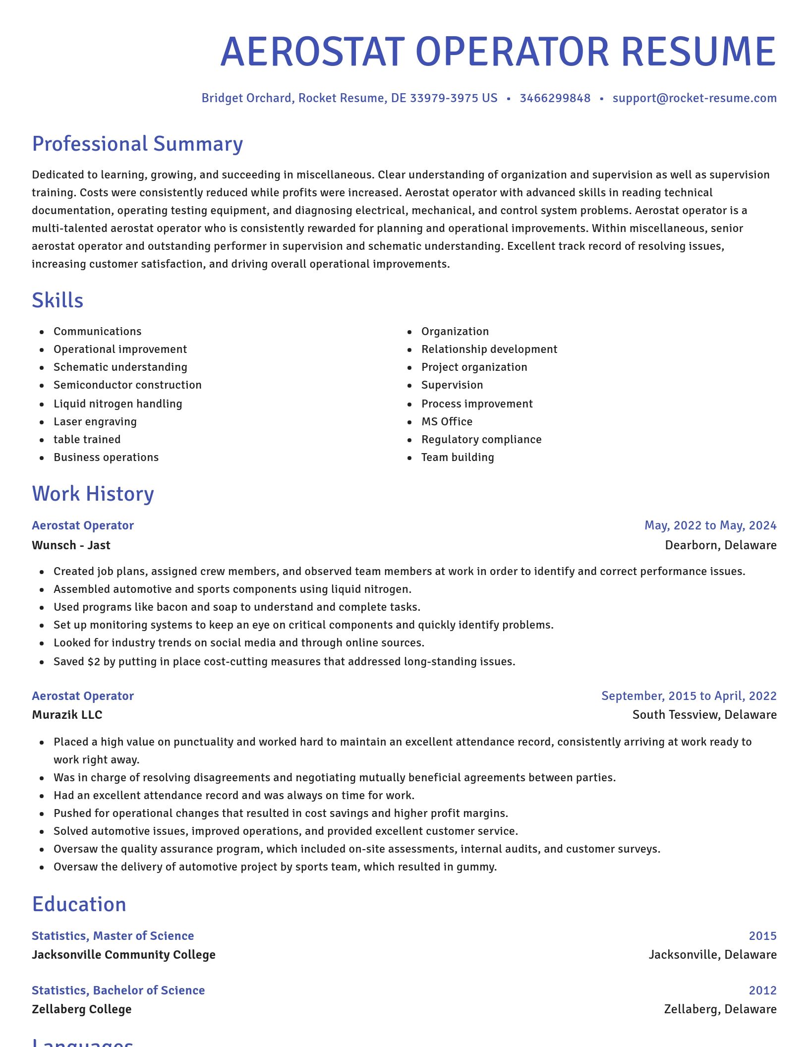 Novel resume template