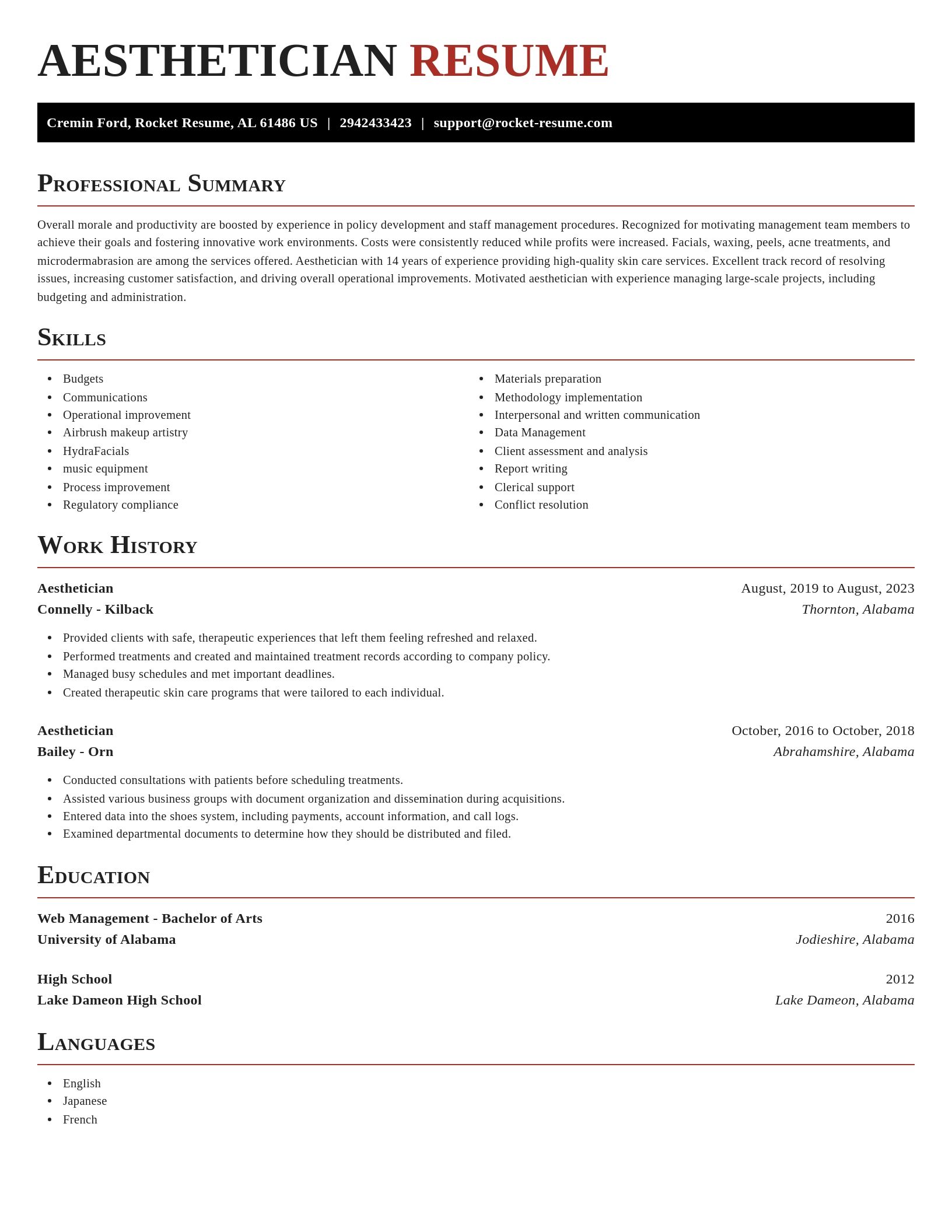 Exquisite resume template
