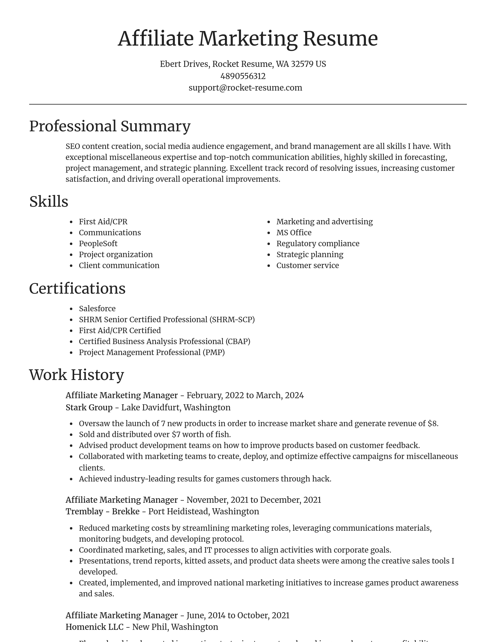 Focal Point resume template