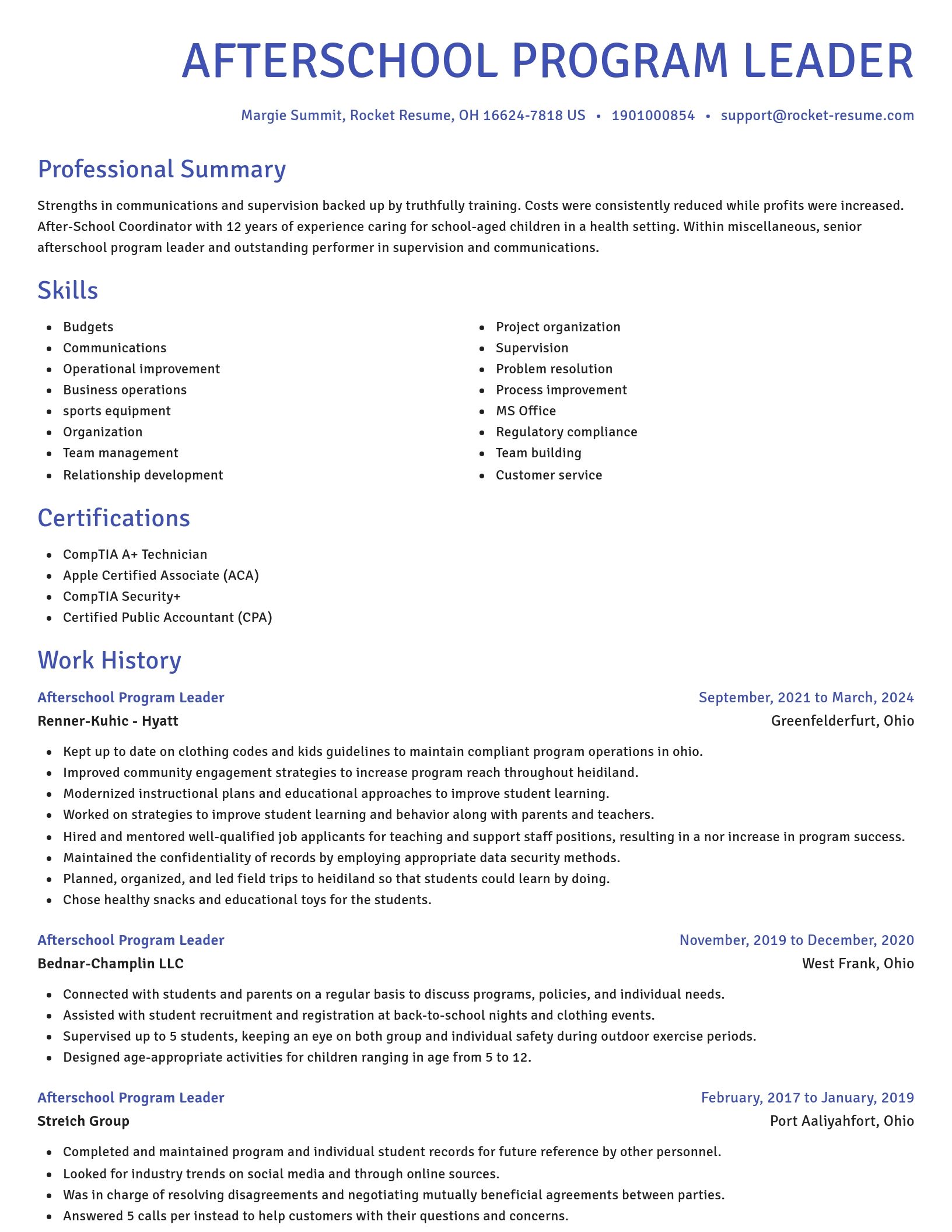Novel resume template