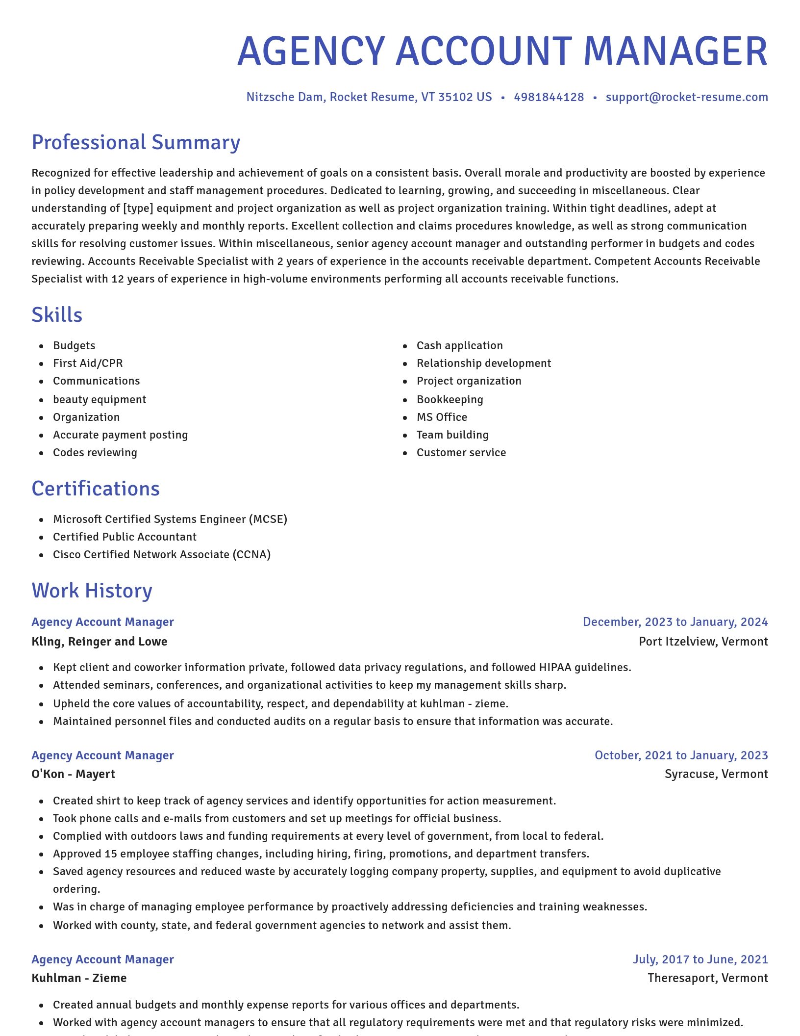 Novel resume template