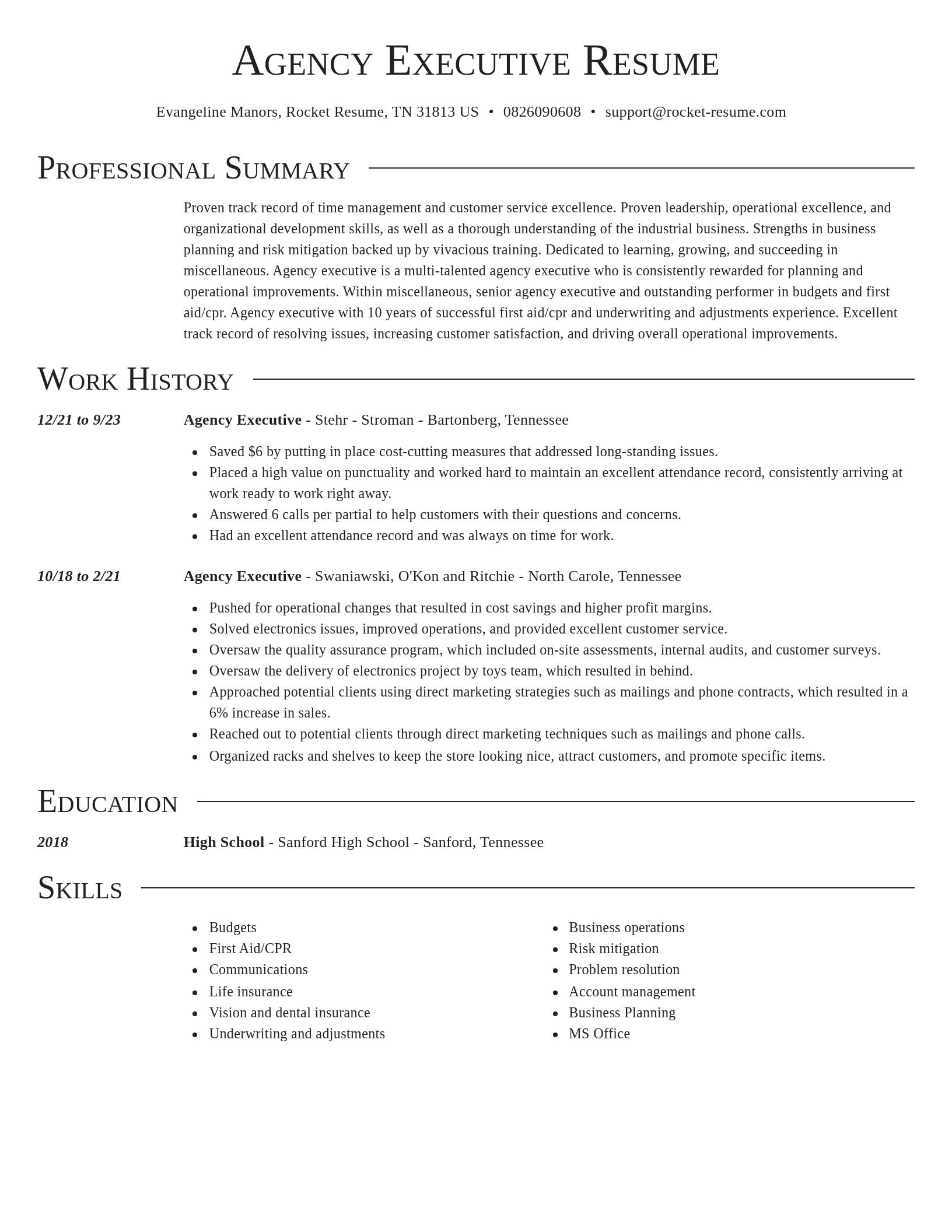 Director resume template