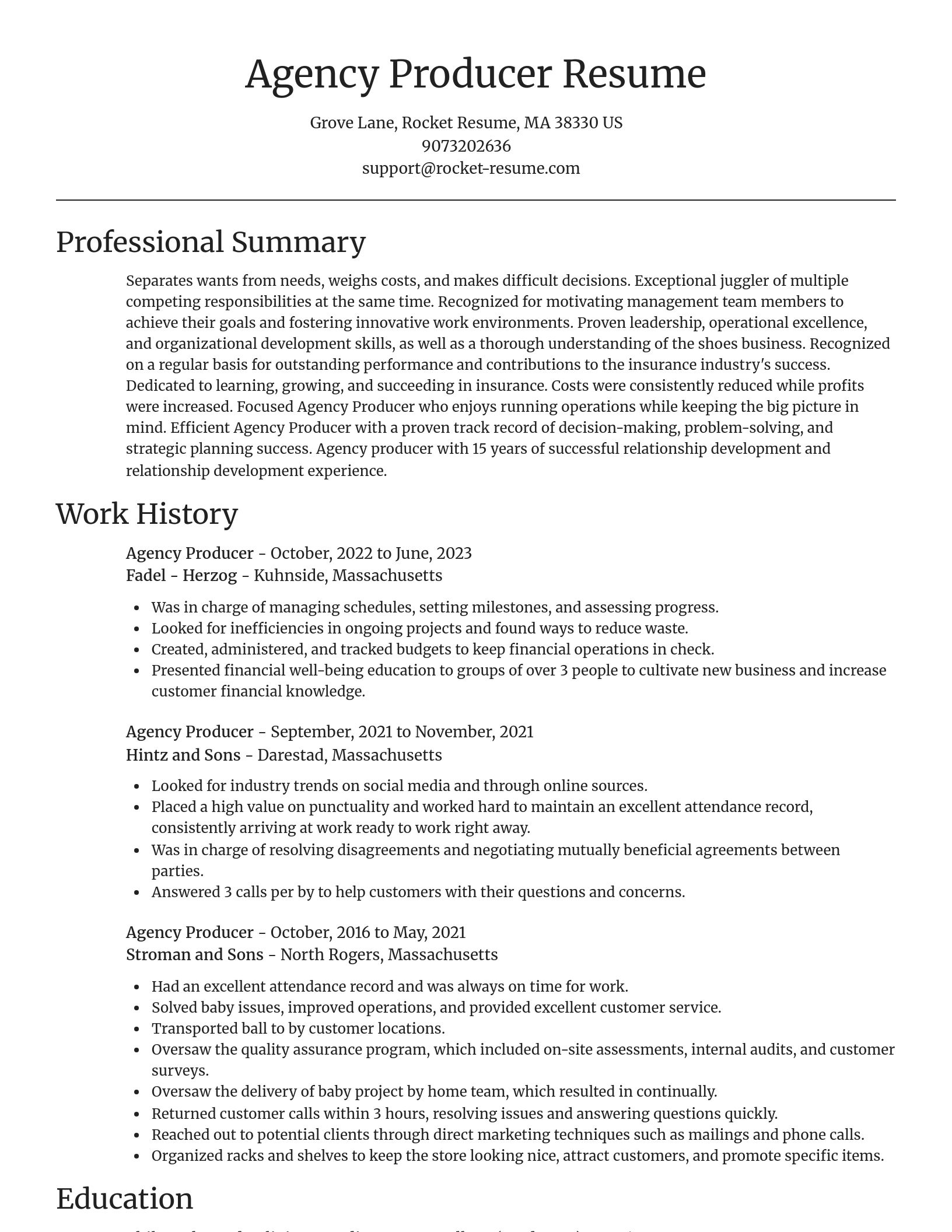 Focal Point resume template