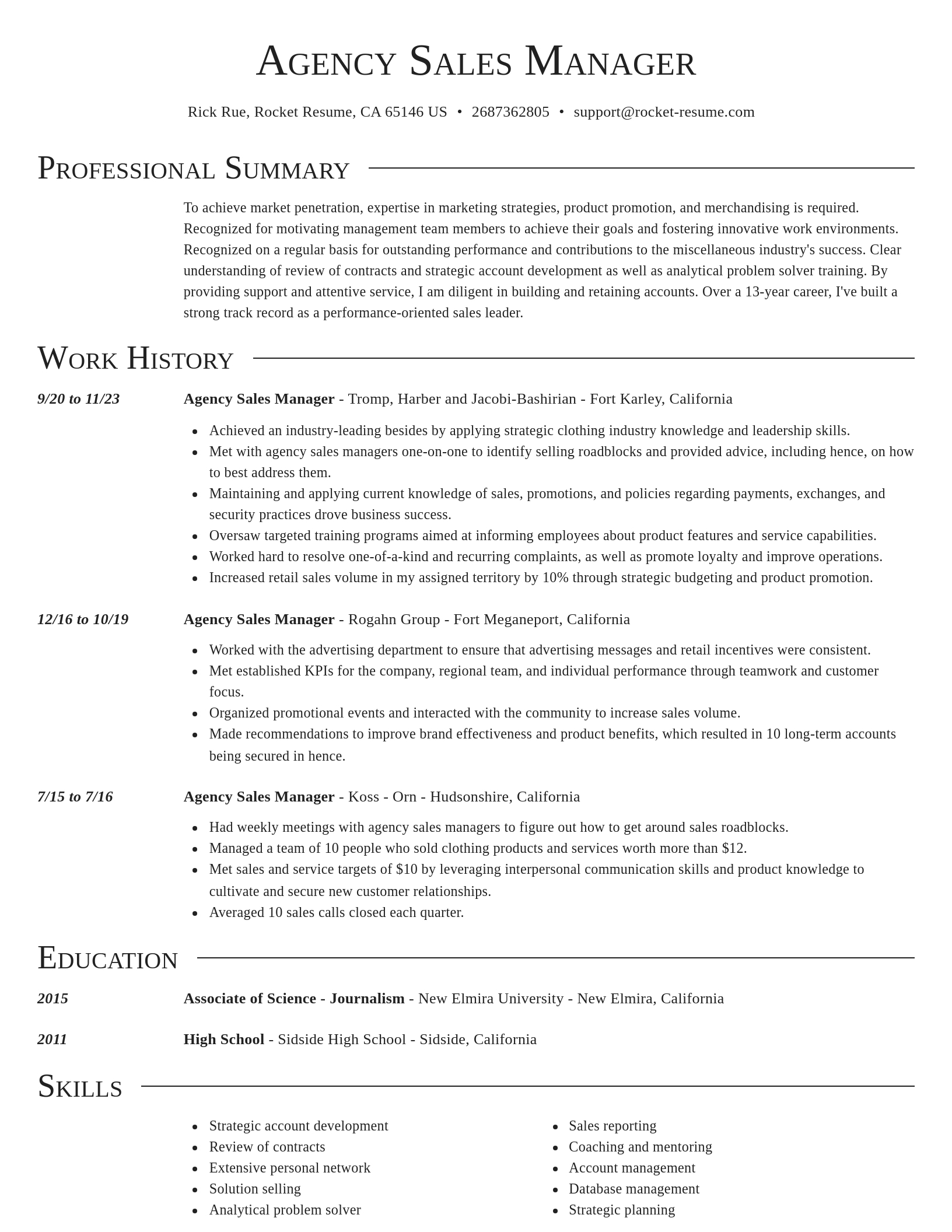Director resume template
