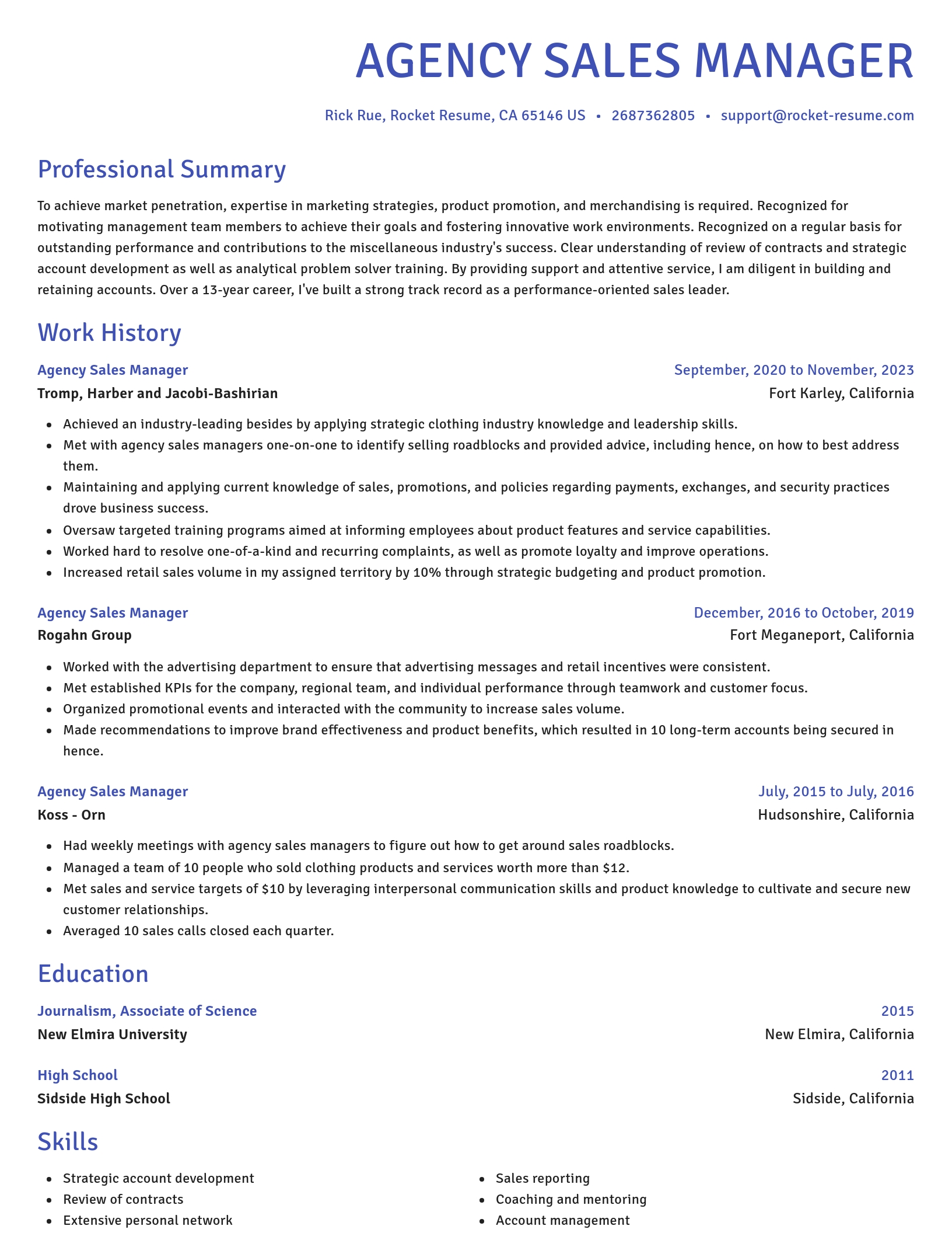Novel resume template