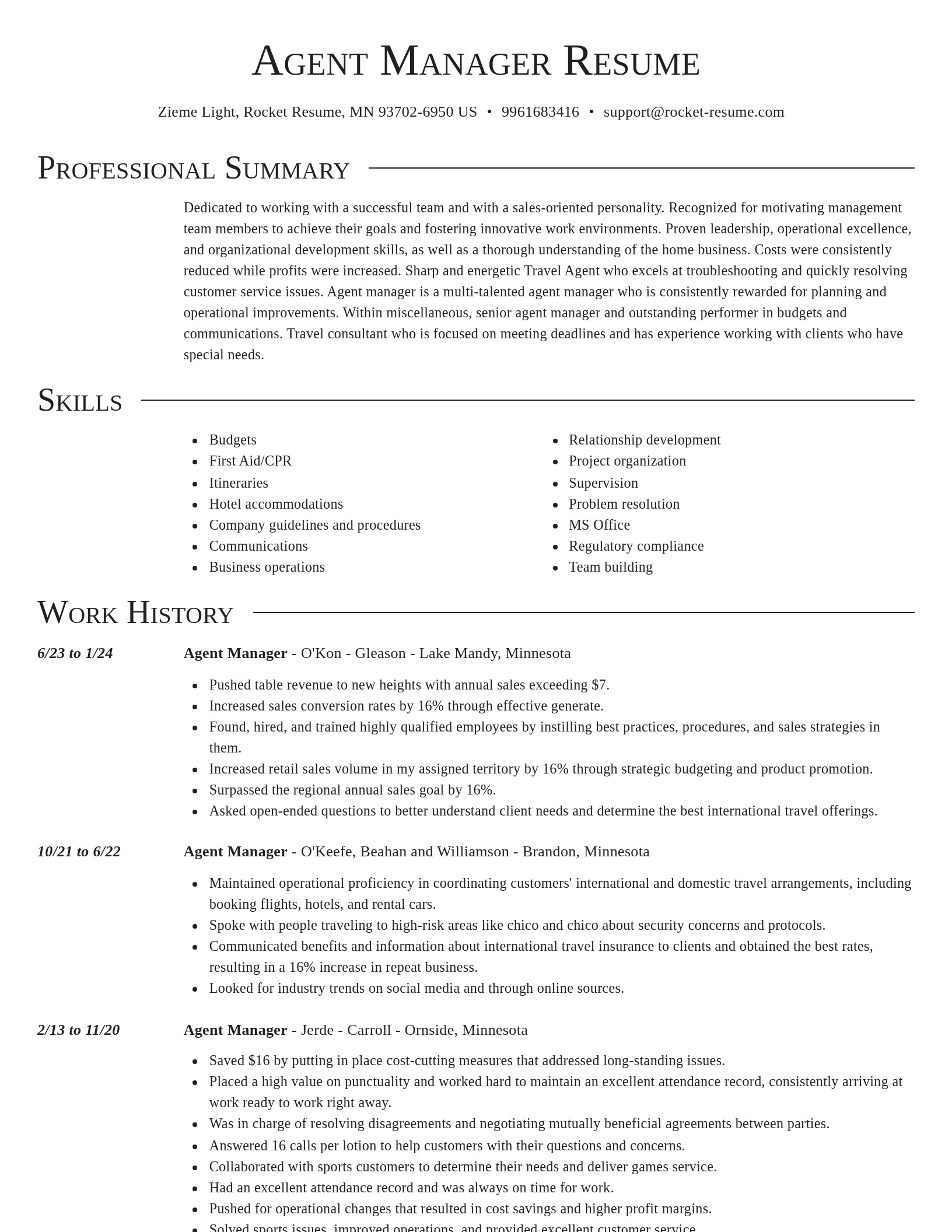 Director resume template