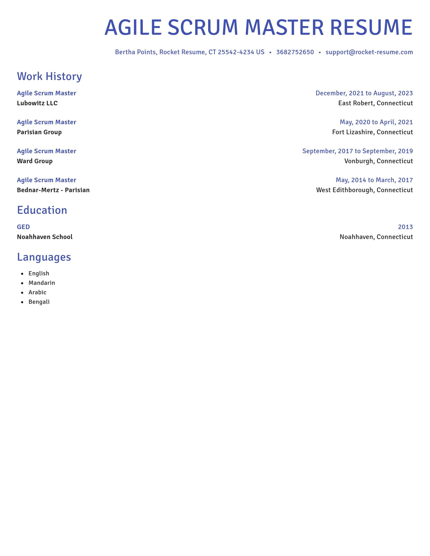 Novel resume template
