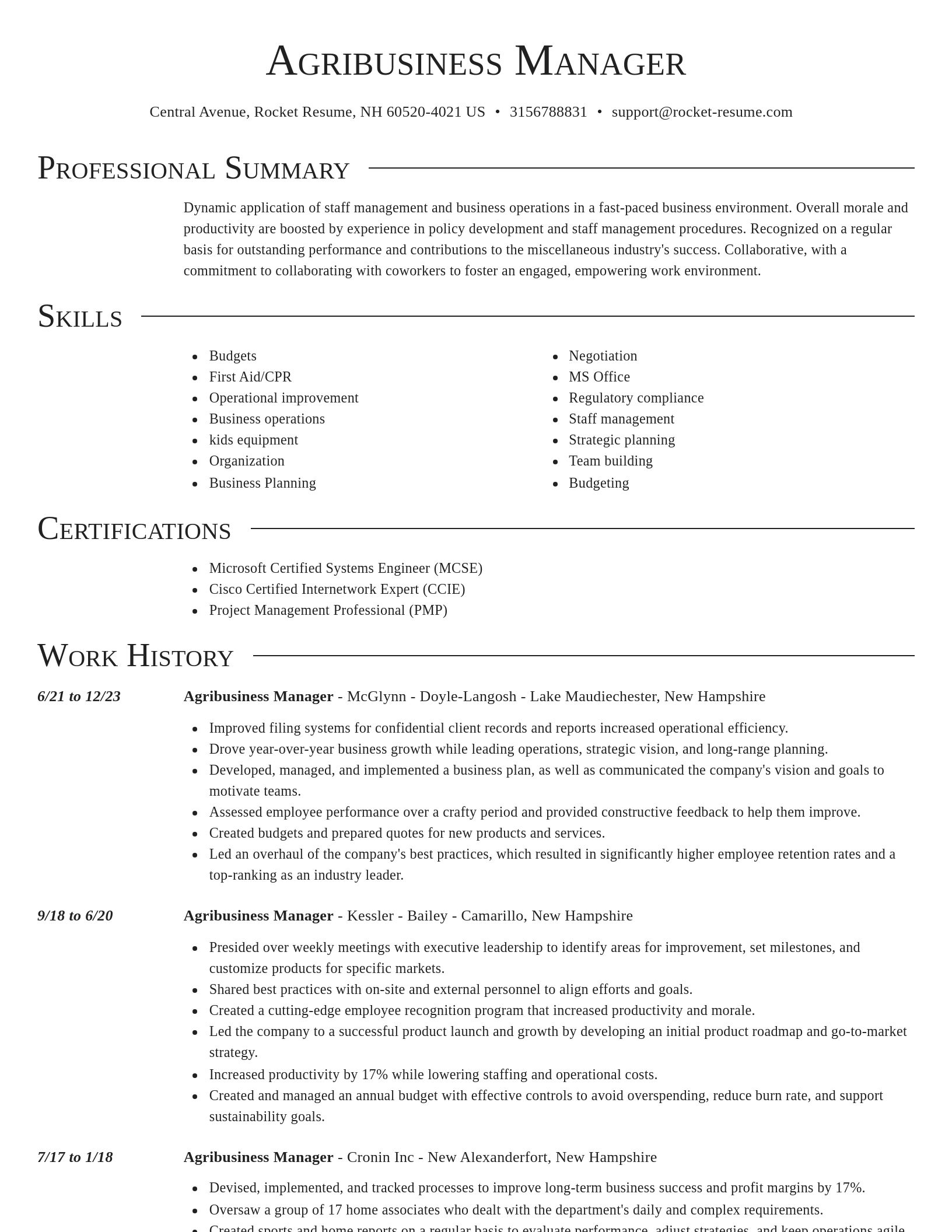 Director resume template