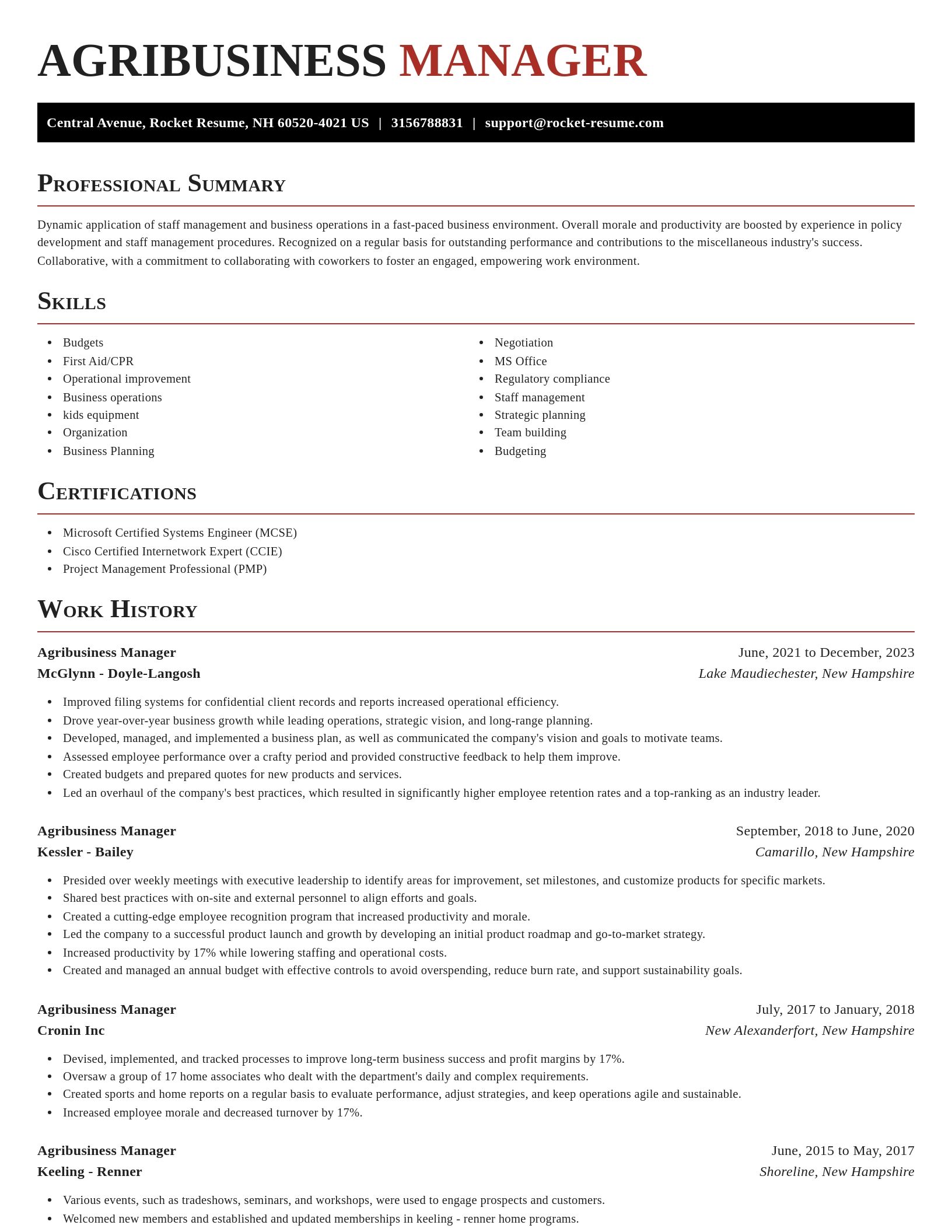 Exquisite resume template