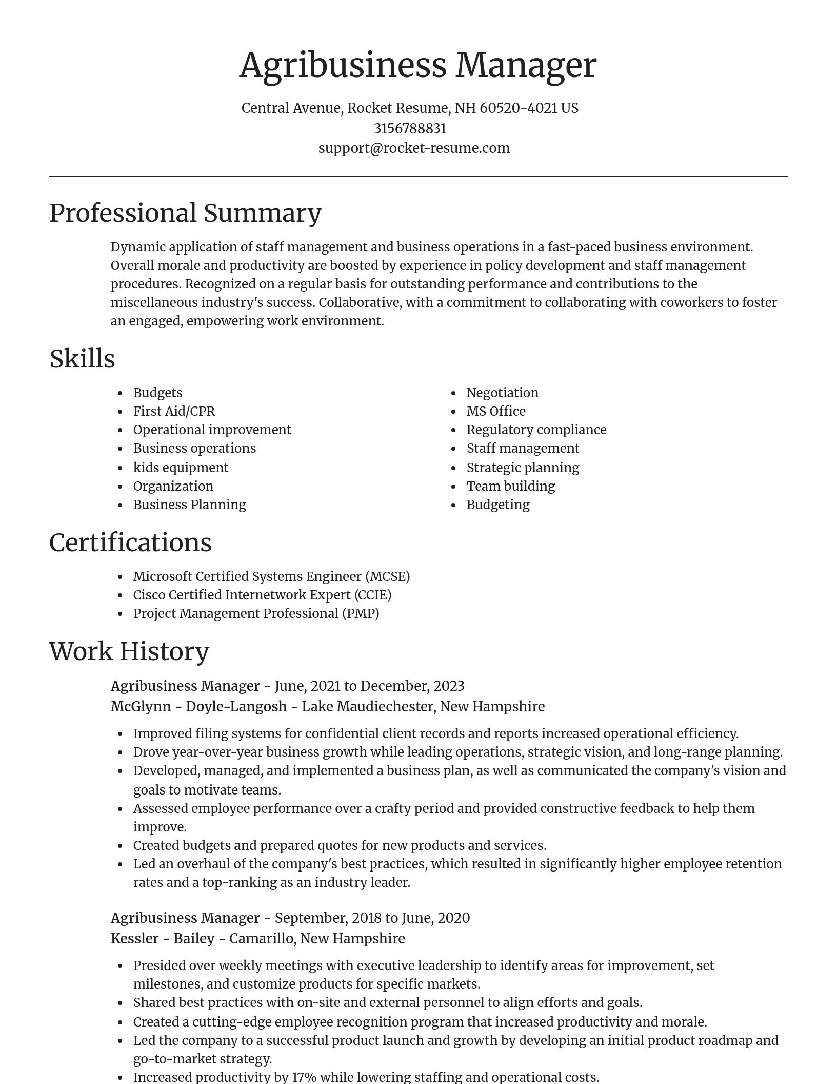 Focal Point resume template