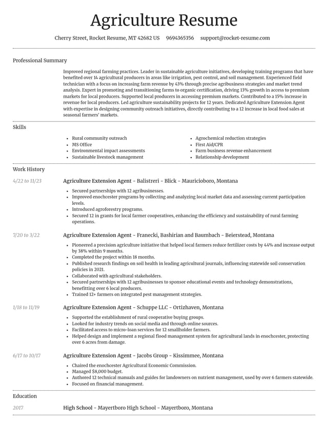 Dignified resume template