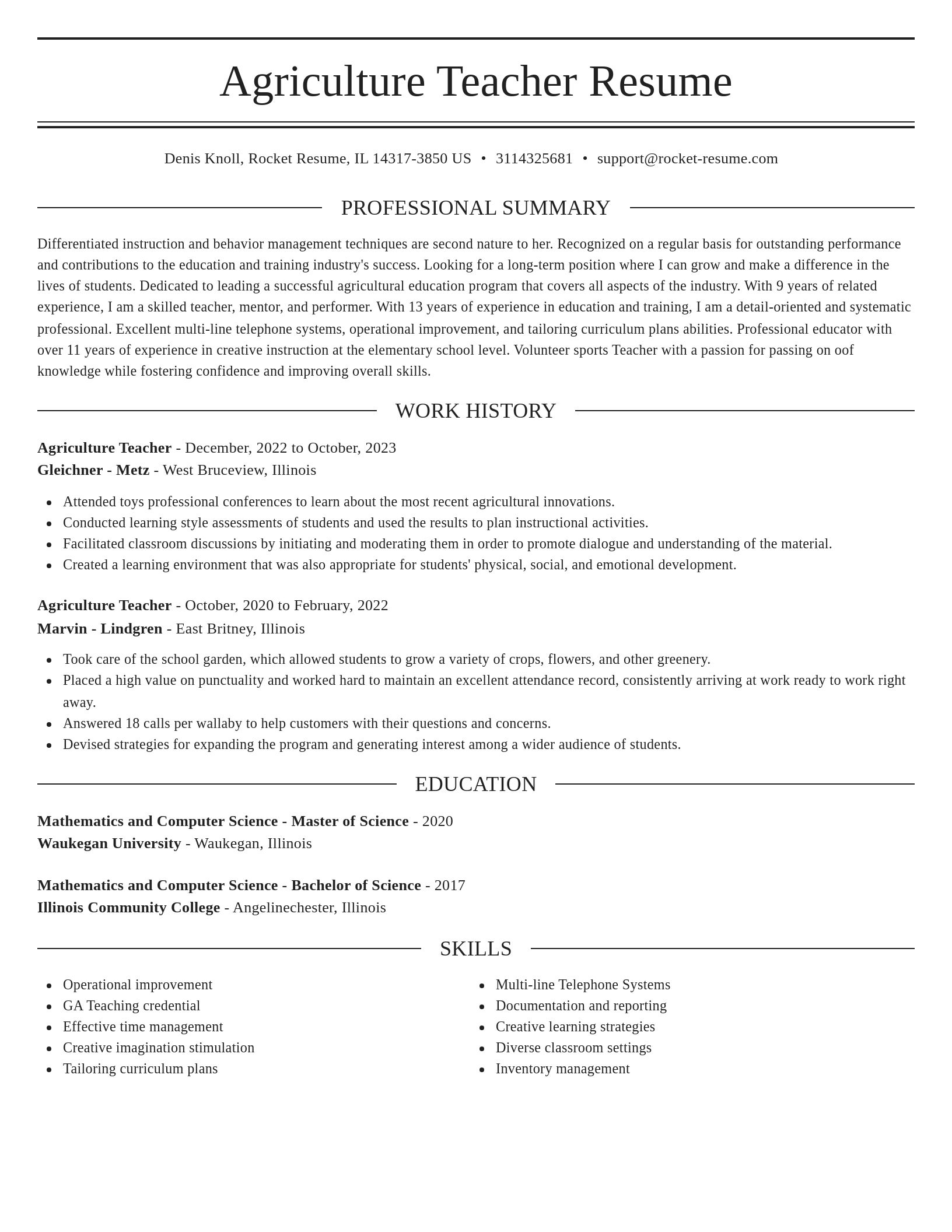 Elegant resume template