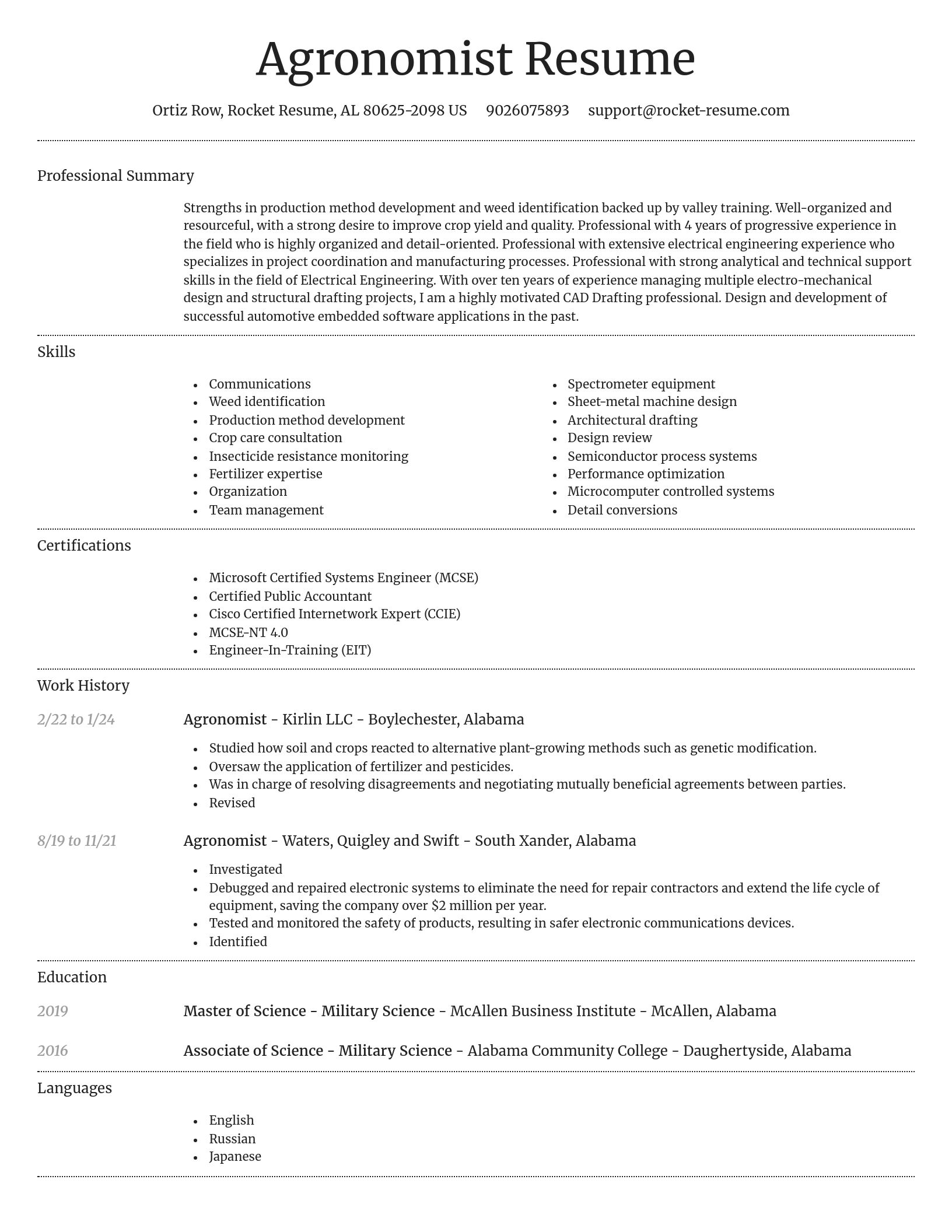 Dignified resume template