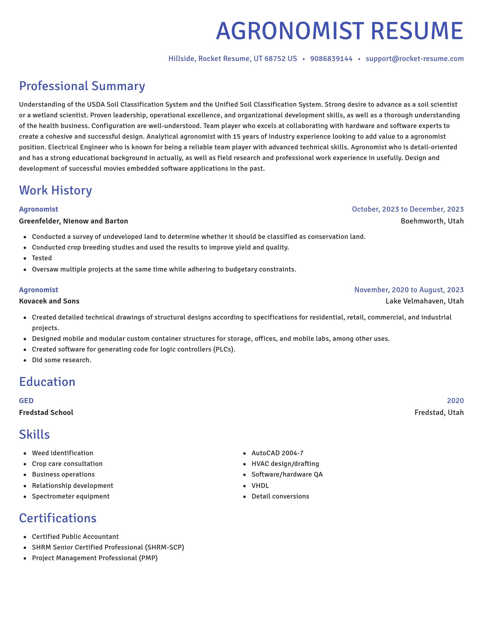 Novel resume template