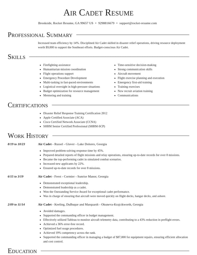 Director resume template