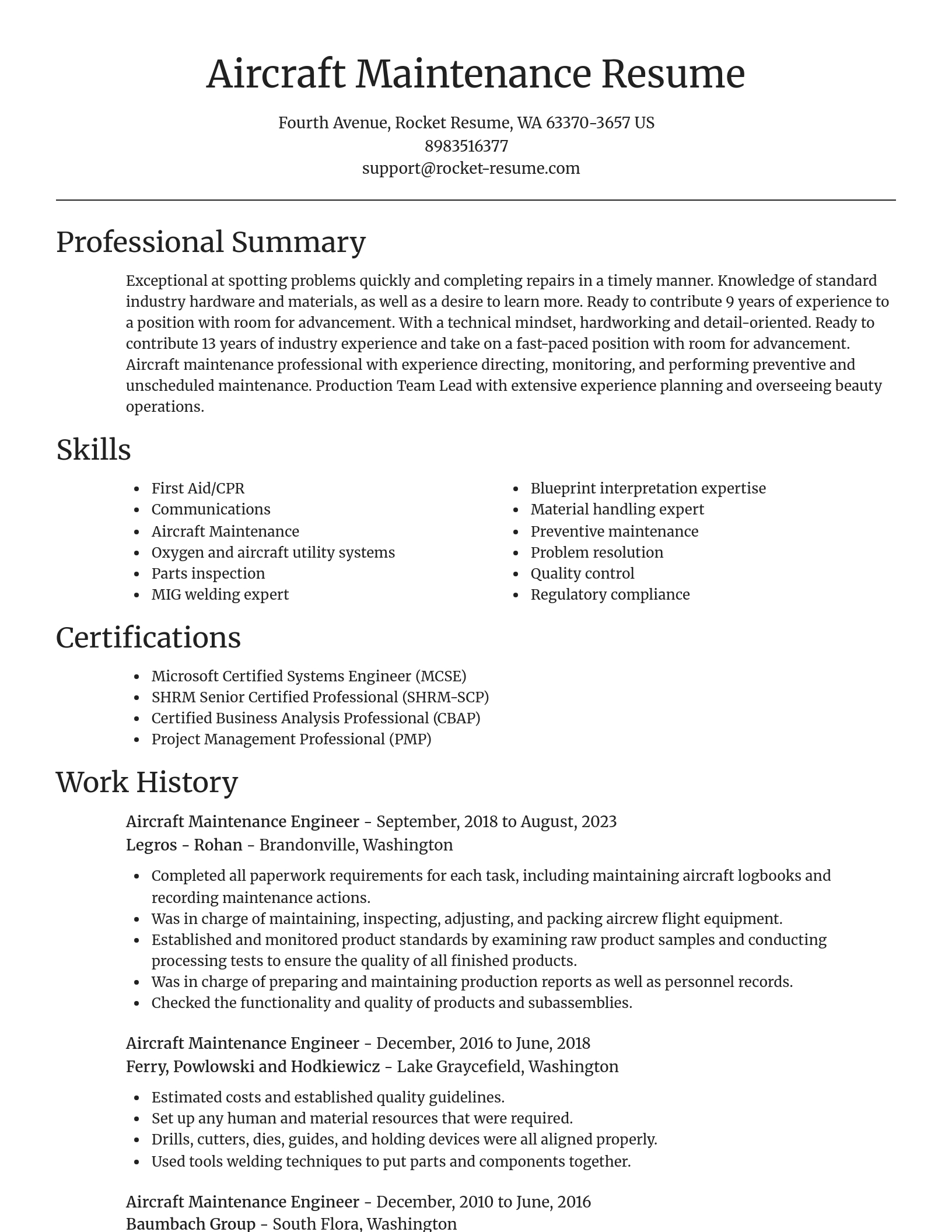 Focal Point resume template