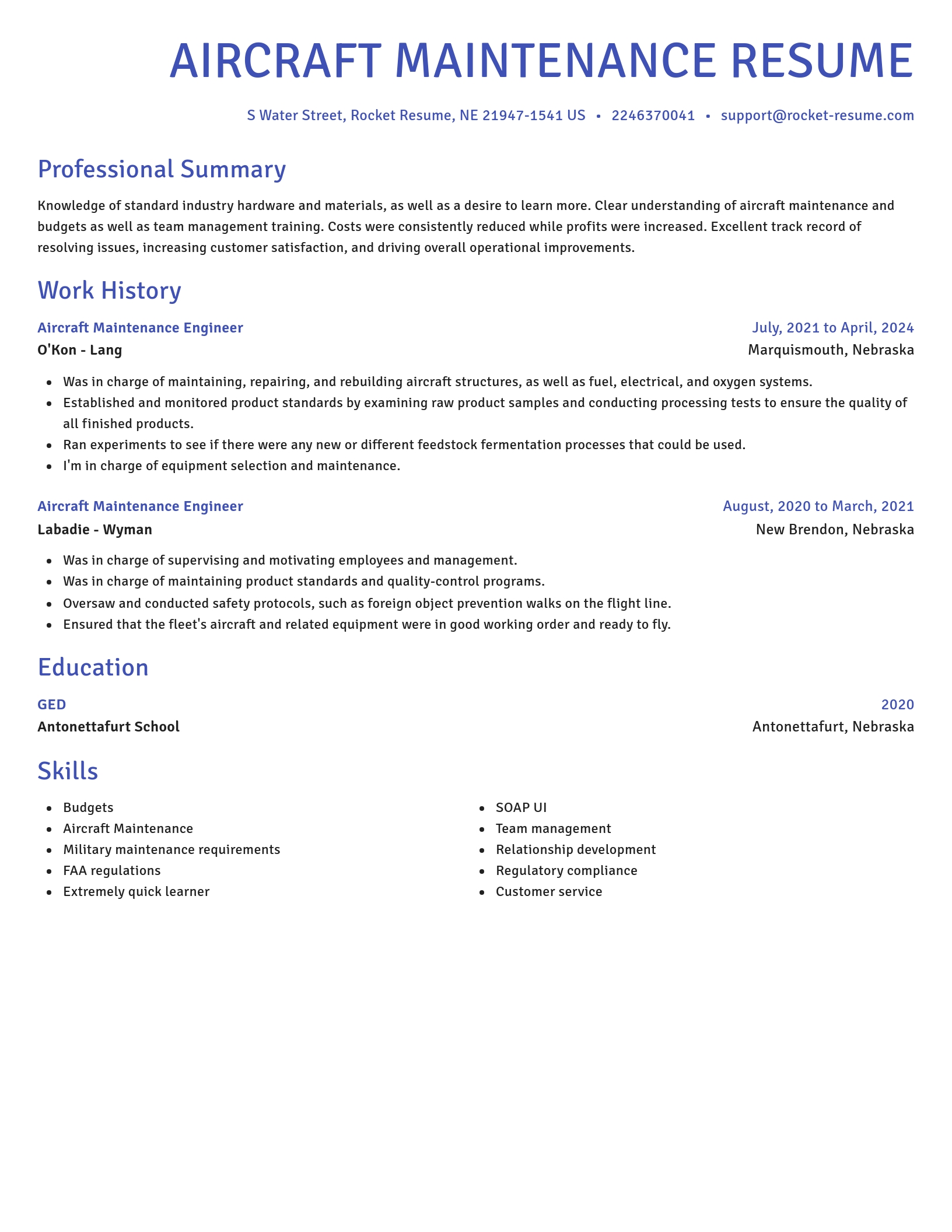 Novel resume template