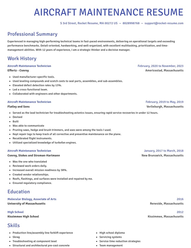 Novel resume template
