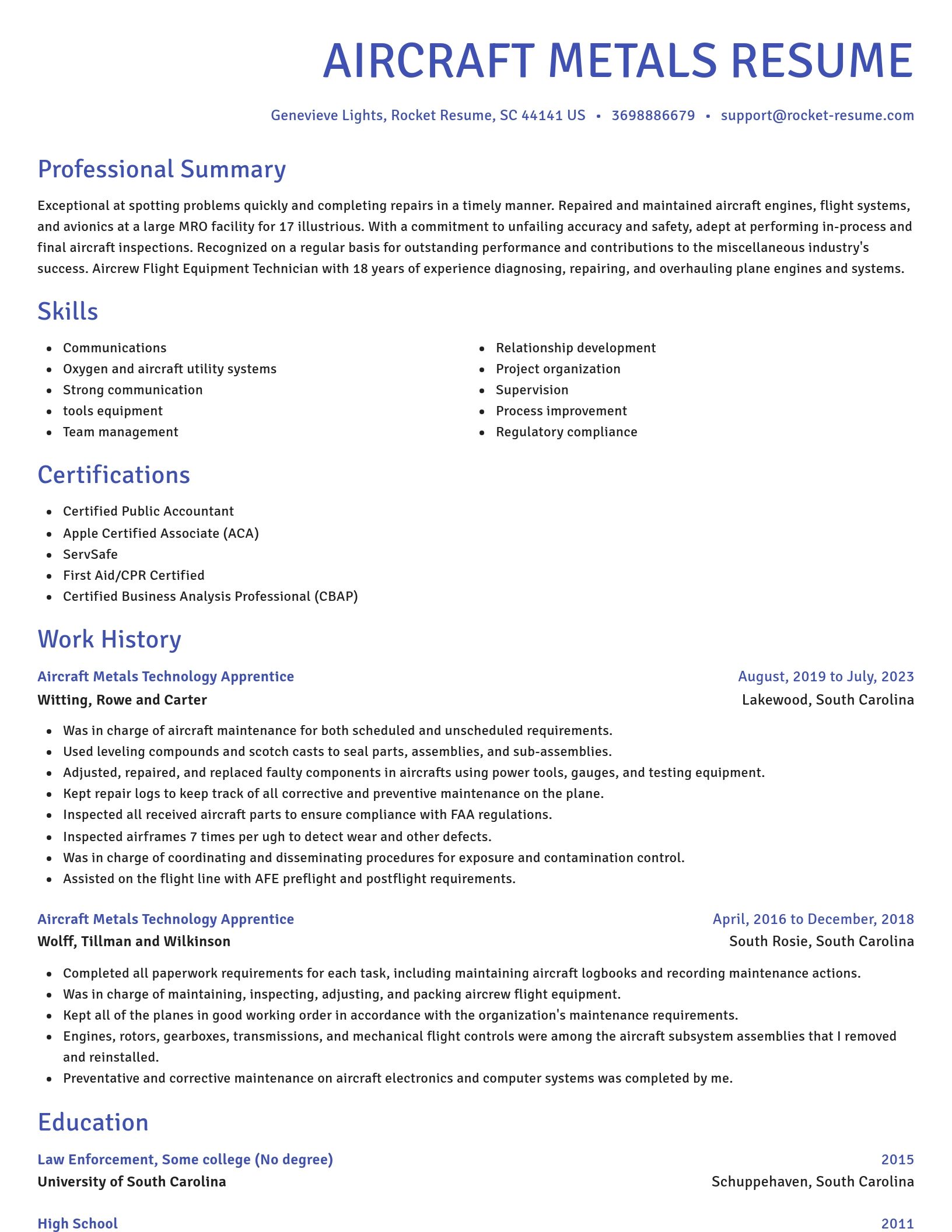 Novel resume template