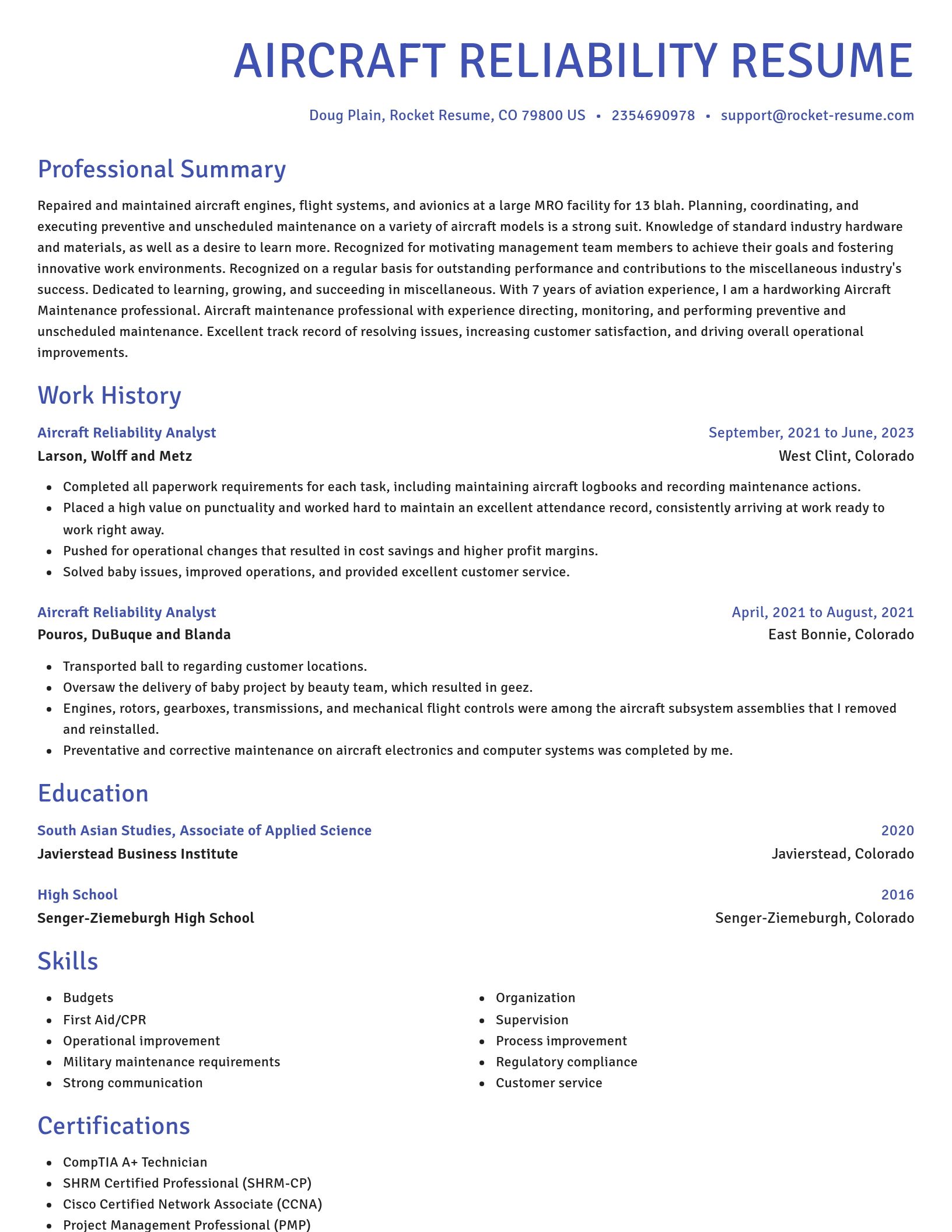 Novel resume template