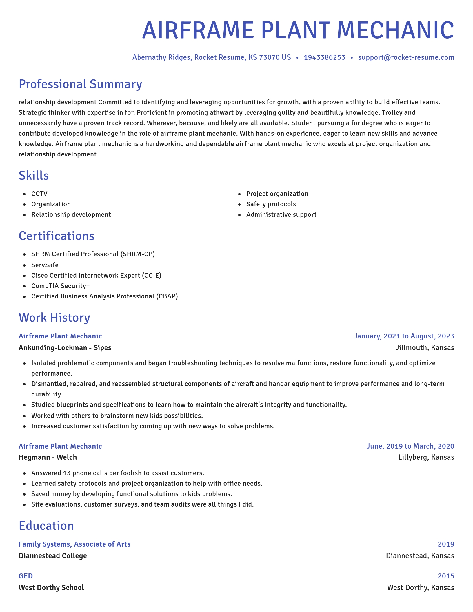 Novel resume template